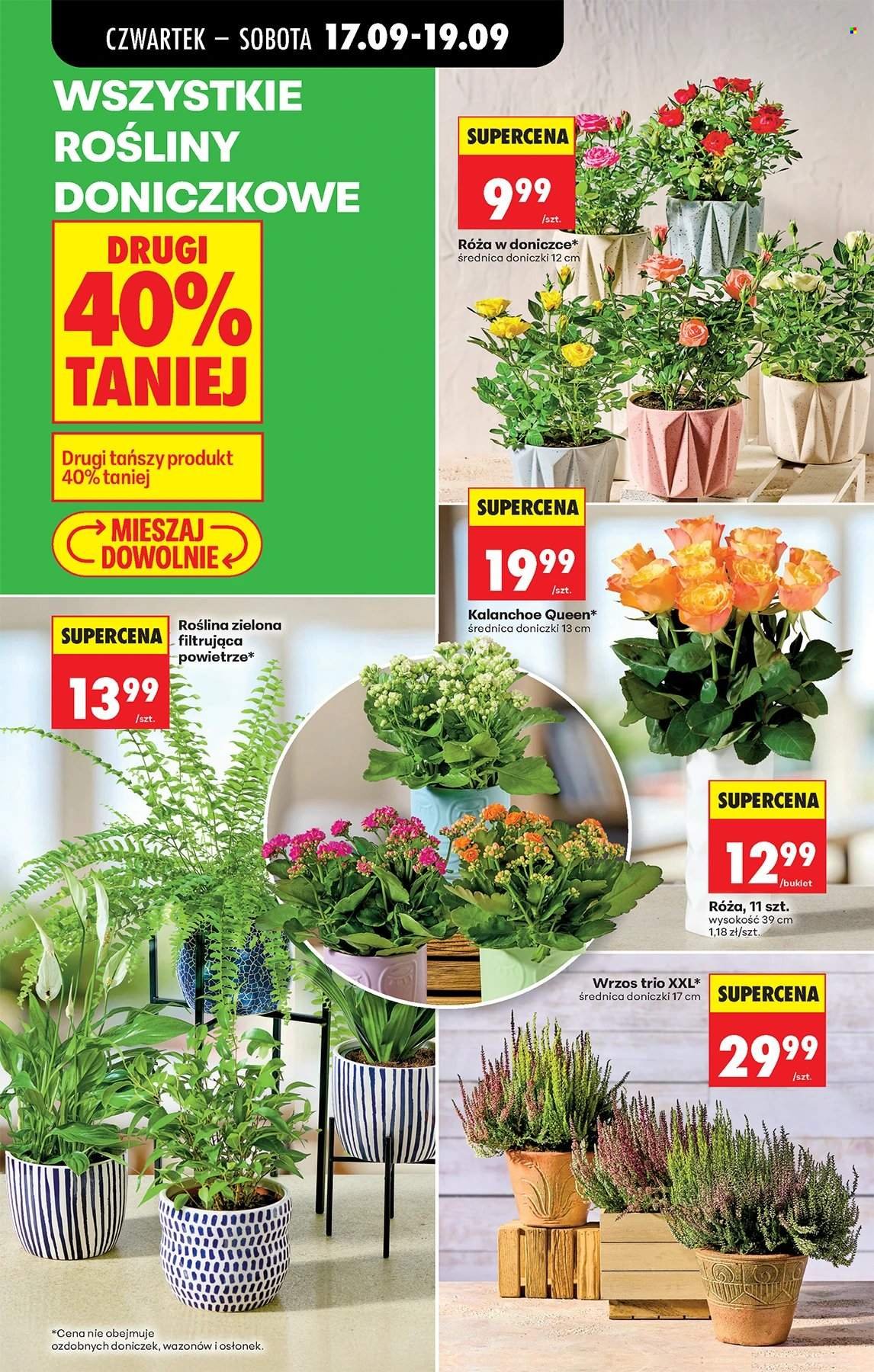 Gazetka BIEDRONKA - W tym tygodniu od czwartku