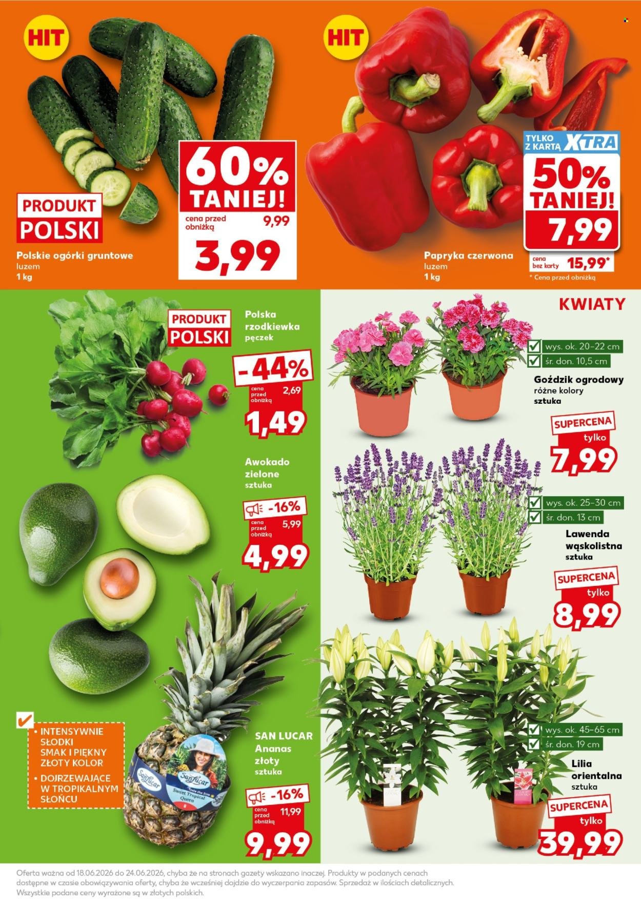 Gazetka KAUFLAND - Mocny Start
