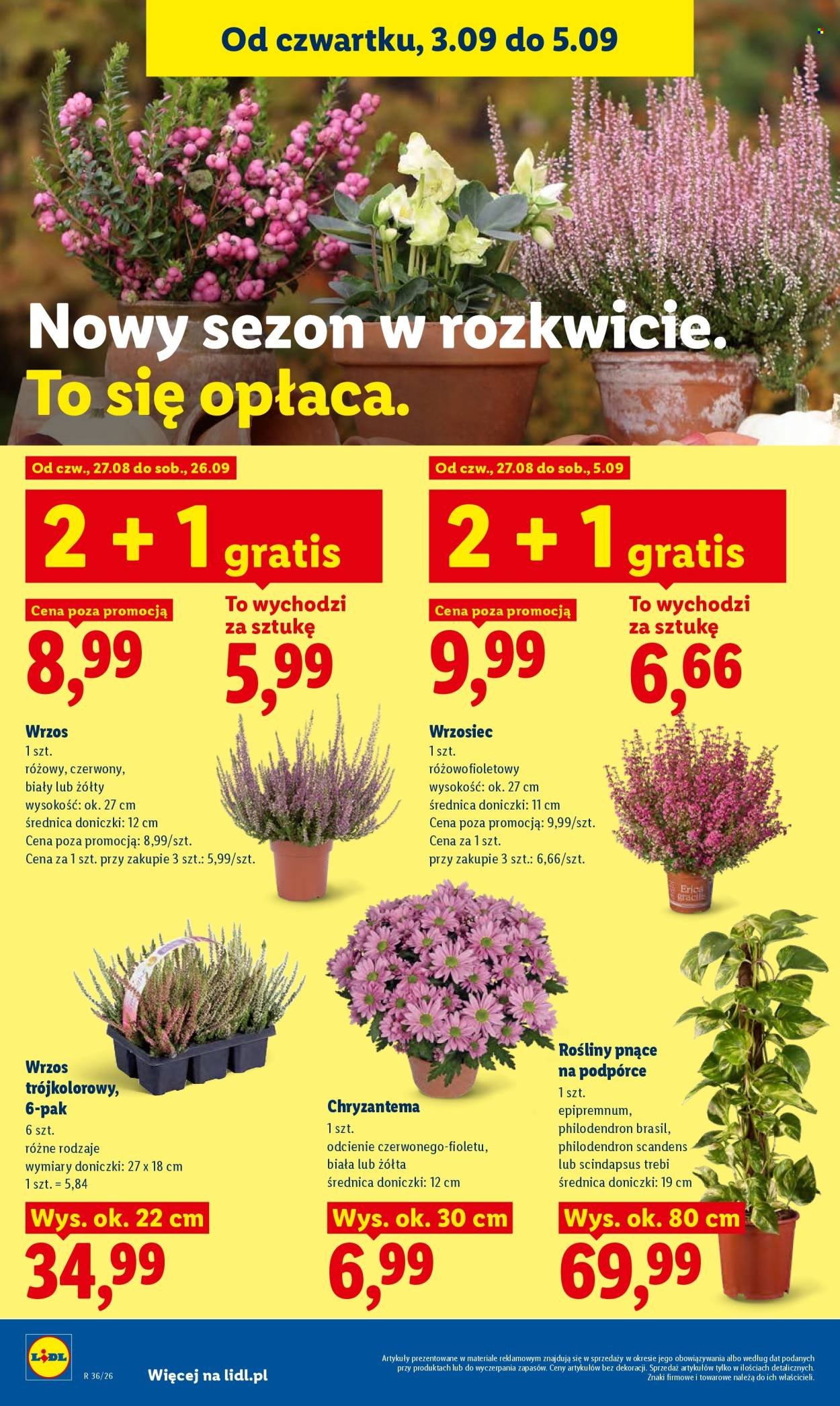 Gazetka LIDL - Od czwartku