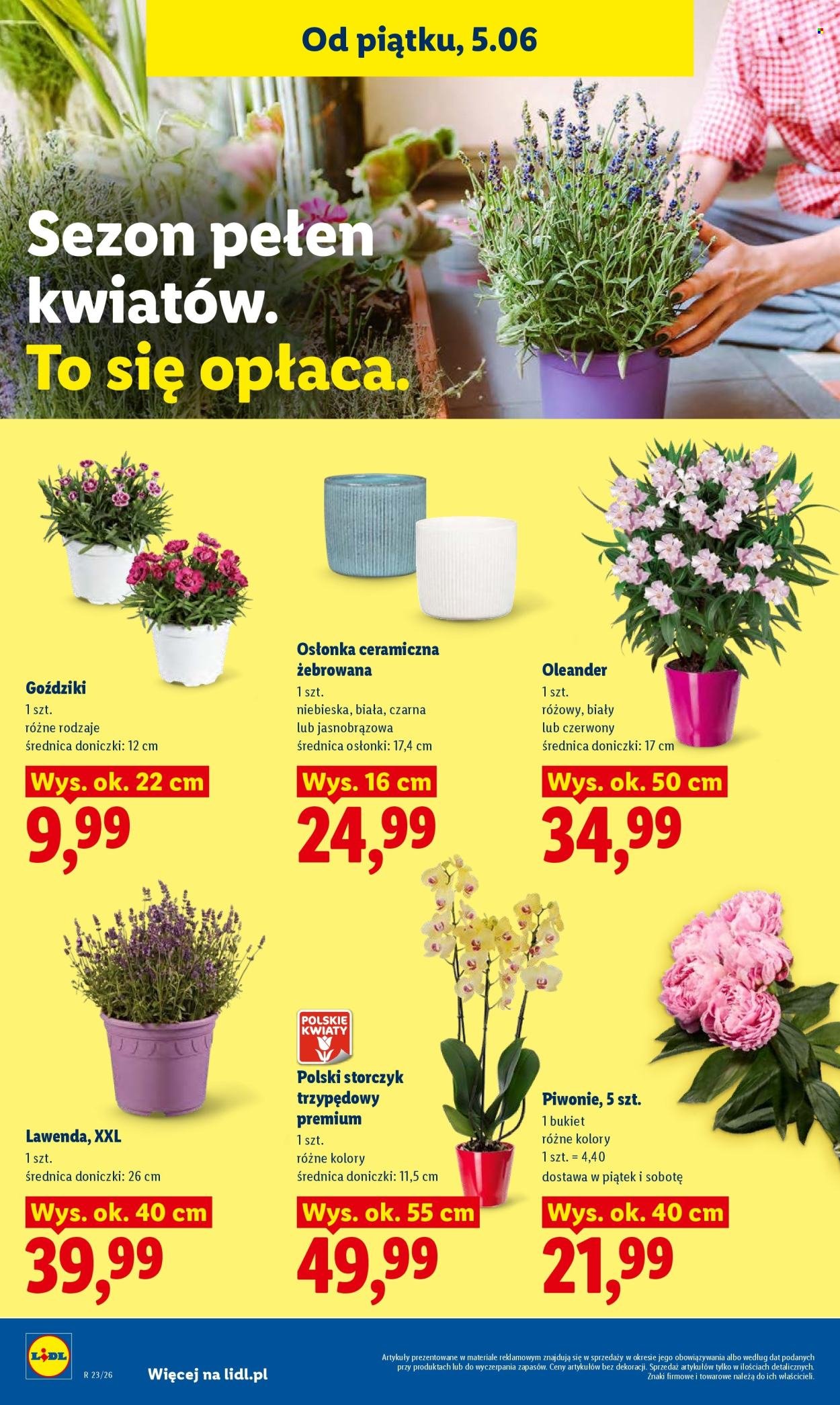 Gazetka LIDL - Od piątku