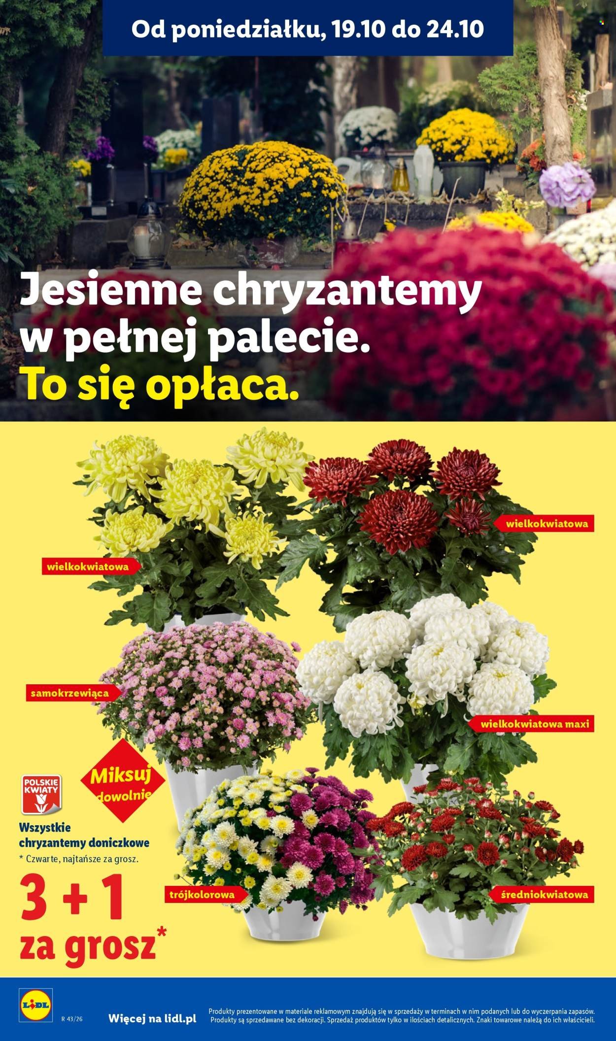 Gazetka LIDL - Od czwartku