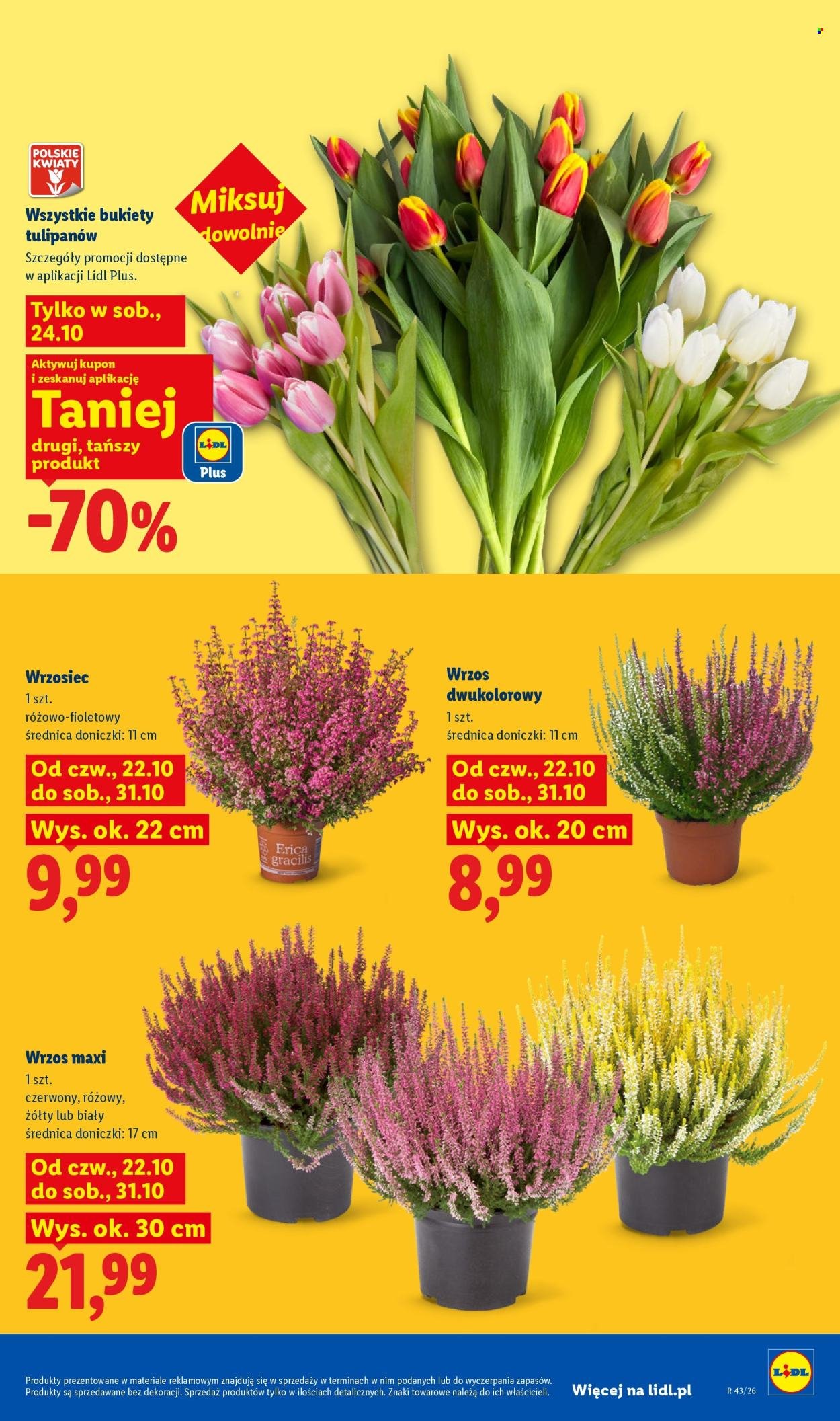 Gazetka LIDL - Od czwartku