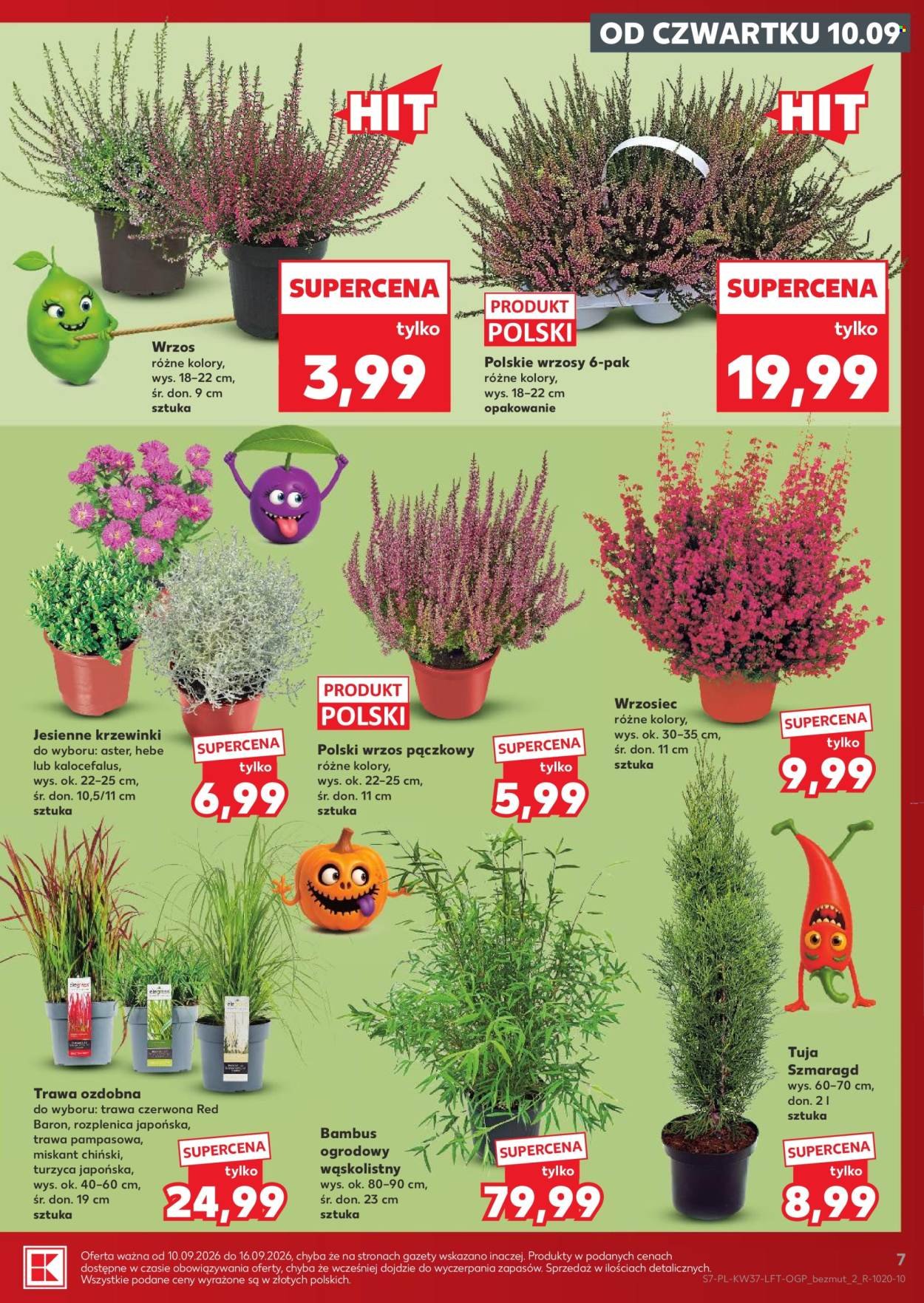 Gazetka KAUFLAND - Gazetka tygodnia