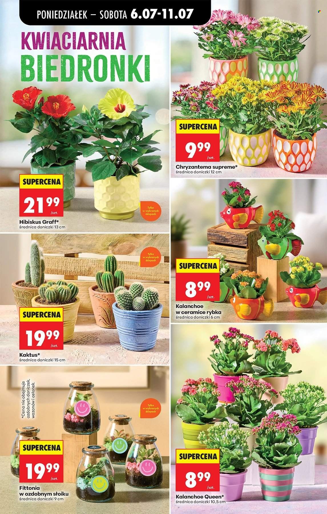 Gazetka BIEDRONKA - W tym tygodniu od poniedziałku