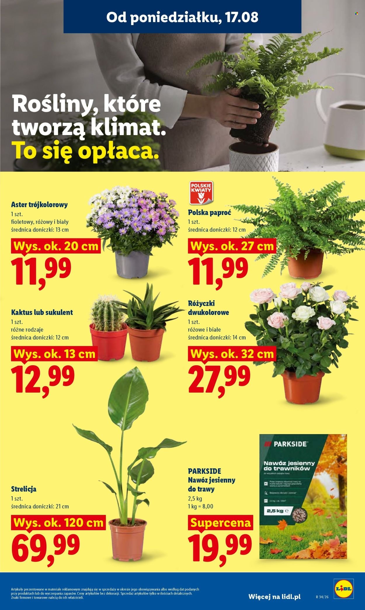 Gazetka LIDL - Od poniedziałku