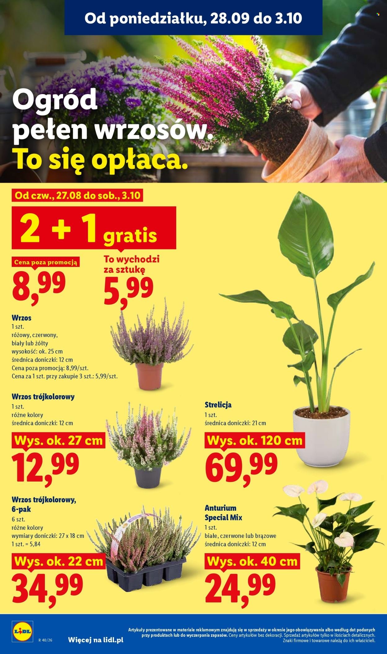 Gazetka LIDL - Od poniedziałku