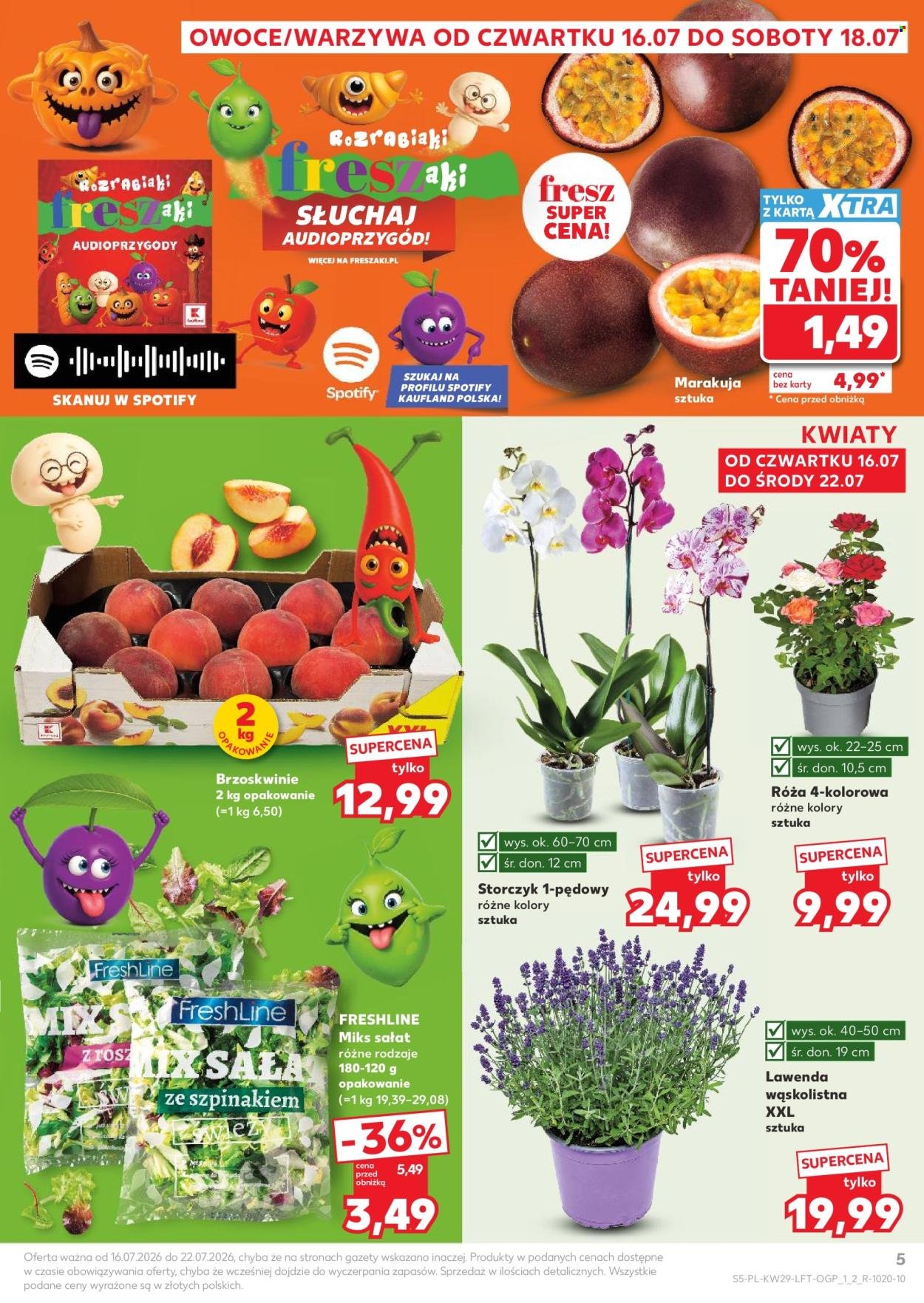Gazetka KAUFLAND - Gazetka tygodnia