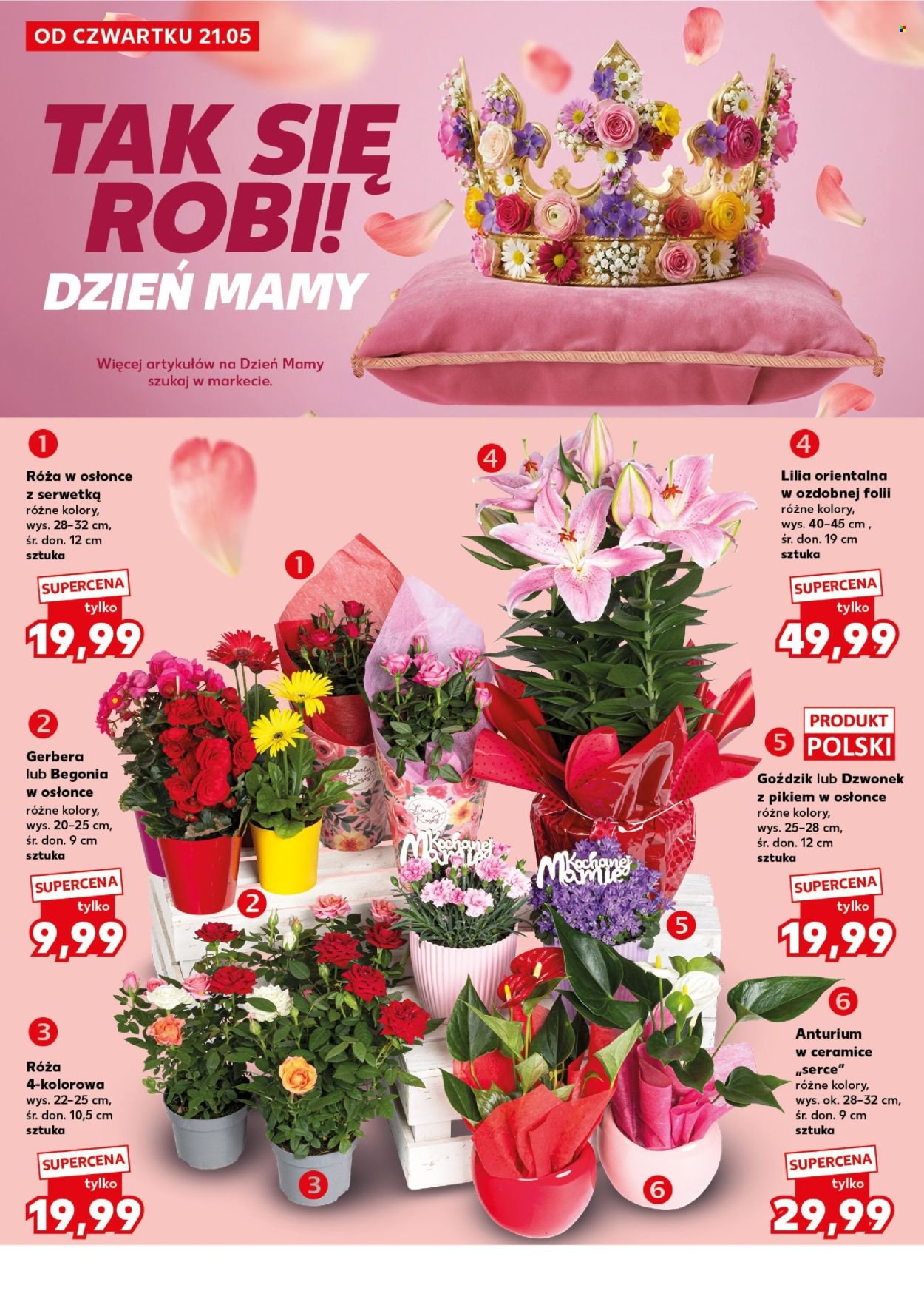 Gazetka KAUFLAND - Mocny Start