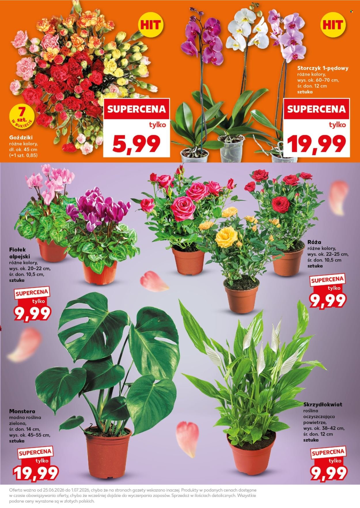 Gazetka KAUFLAND - Mocny Start