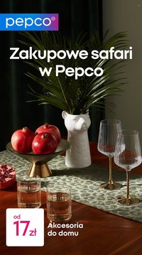 Gazetka PEPCO - Zakupowe safari w pepco (2026-01-16)