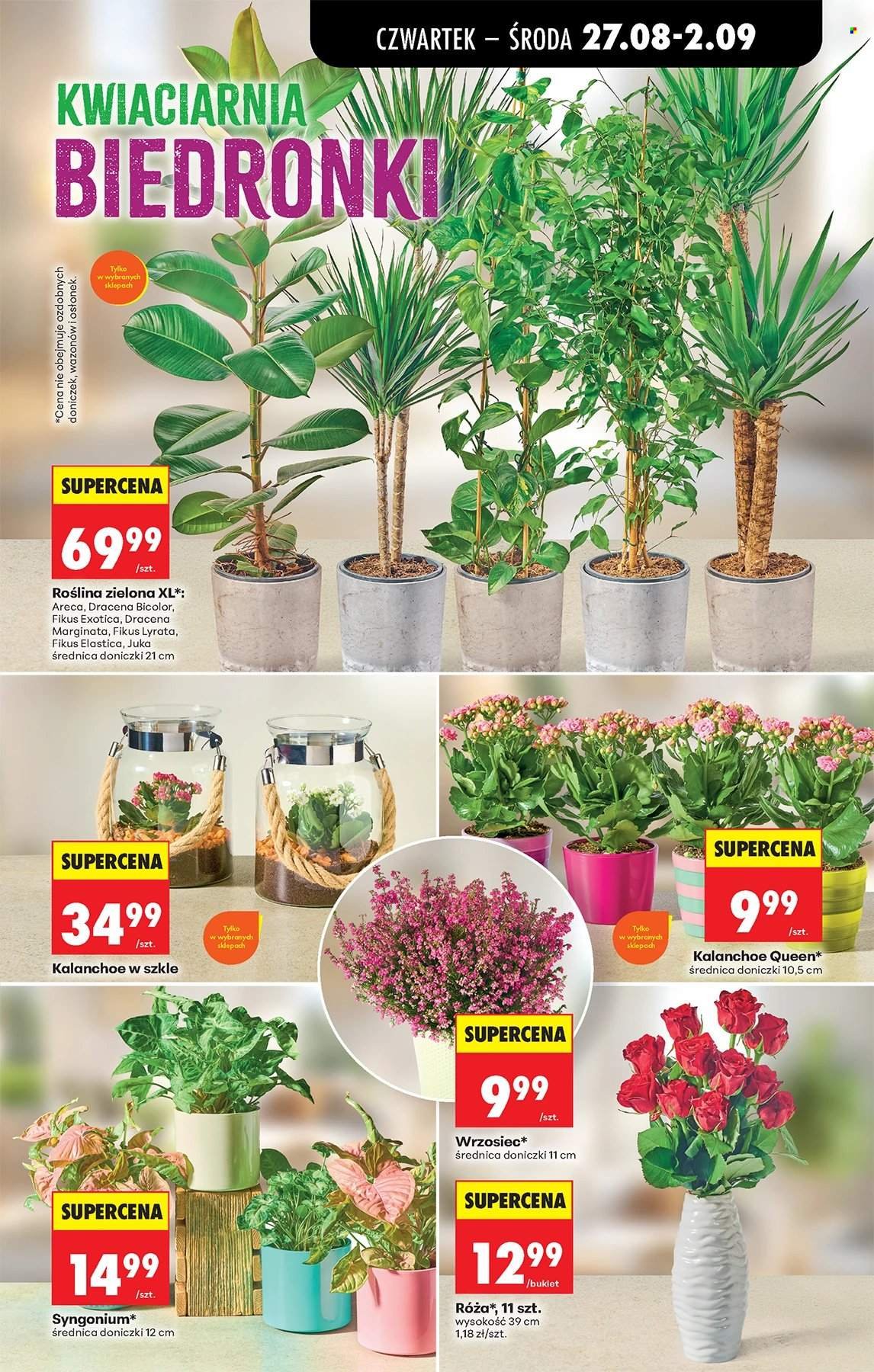 Gazetka BIEDRONKA - W tym tygodniu od czwartku