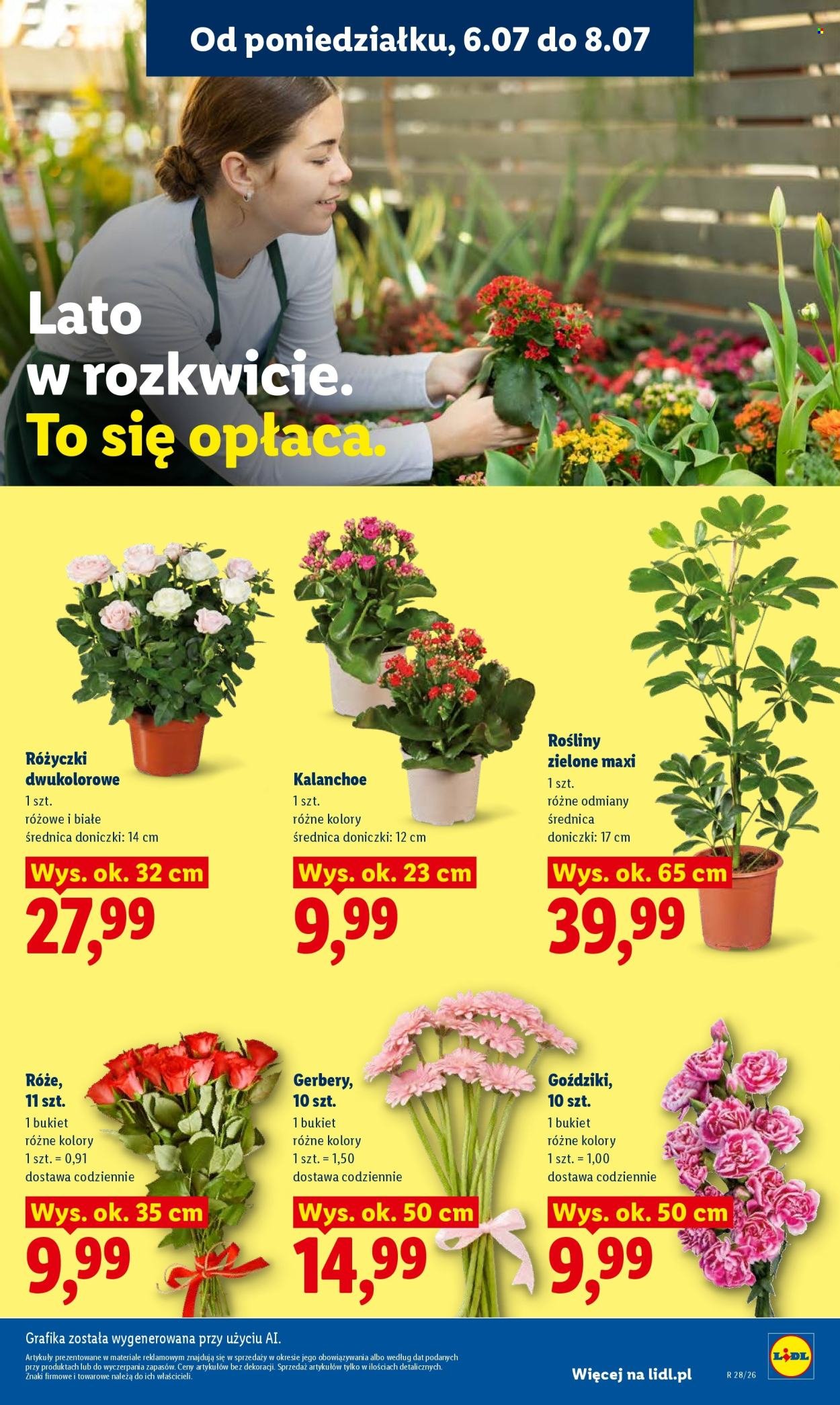 Gazetka LIDL - Od poniedziałku