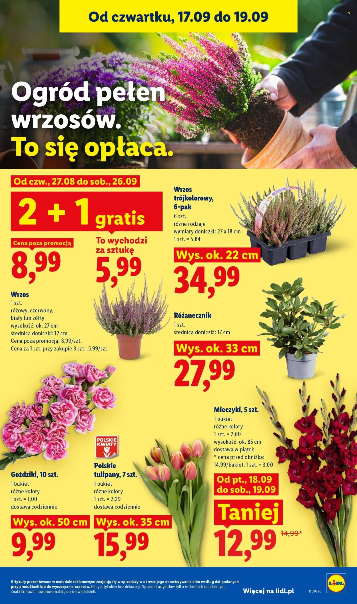 Gazetka LIDL - Od czwartku