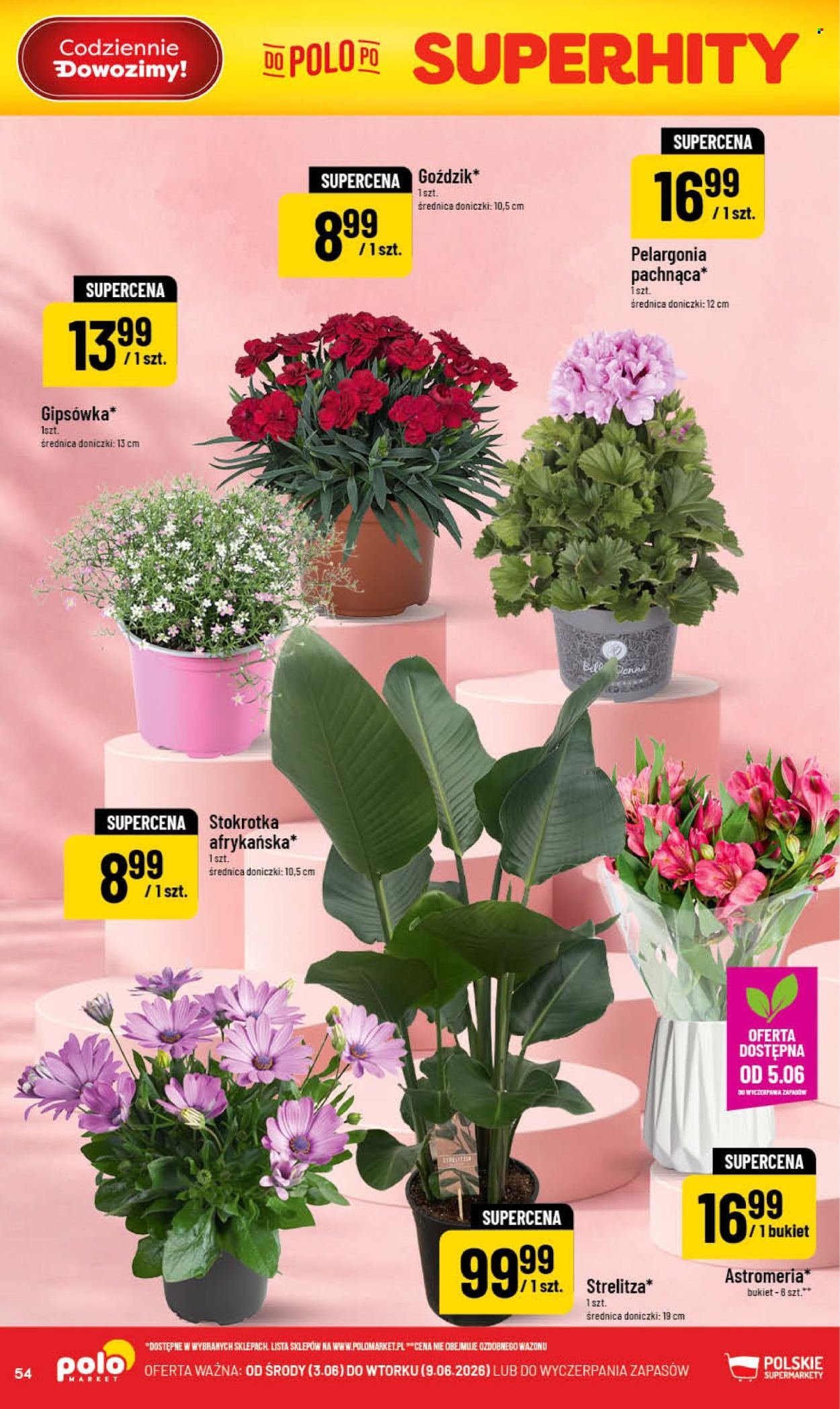 Gazetka POLOMARKET - Od środy 3.06.2026