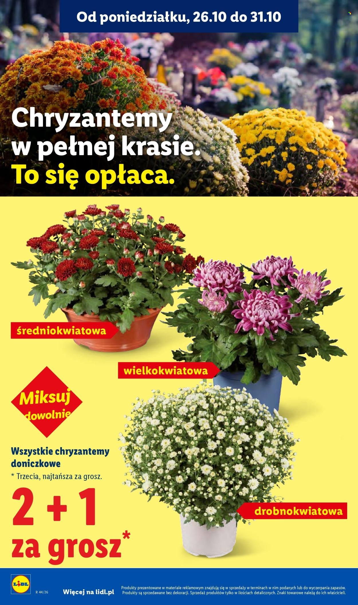 Gazetka LIDL - Od czwartku