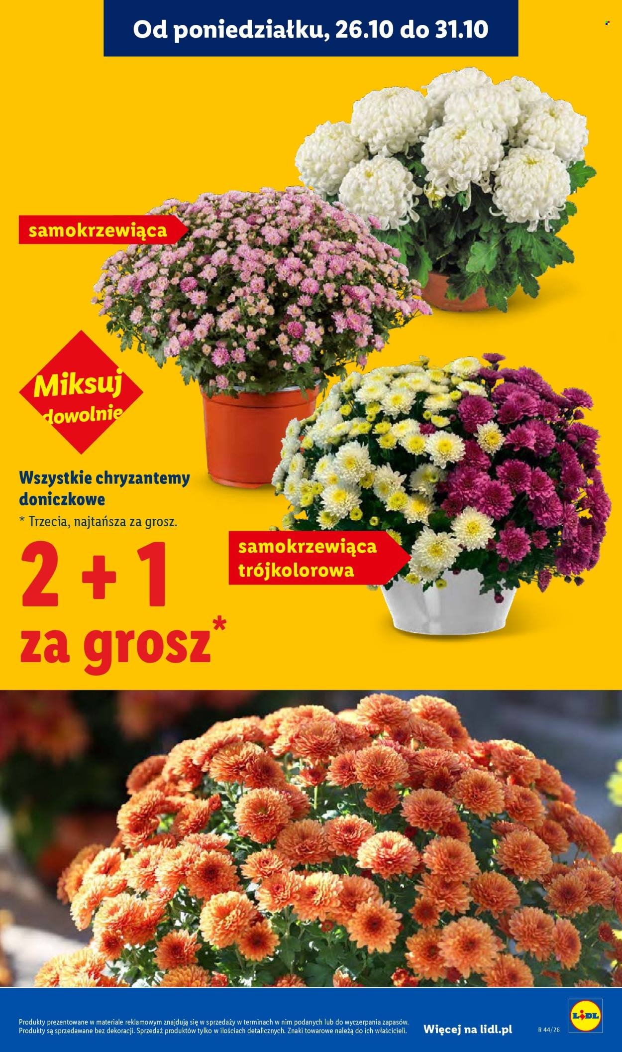 Gazetka LIDL - Od czwartku