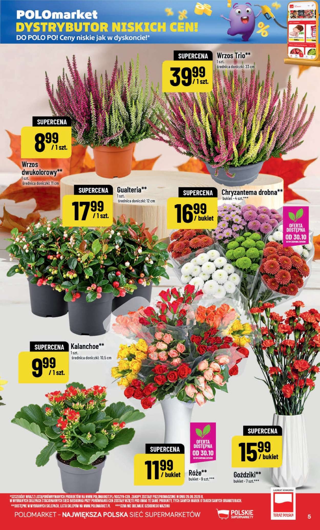 Gazetka POLOMARKET - Od środy 28.10.2026