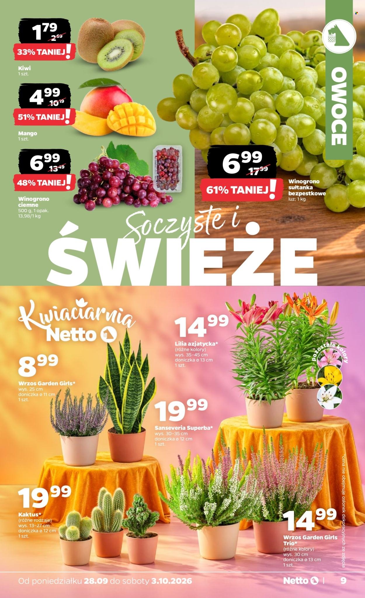 Gazetka NETTO - Od poniedziałku