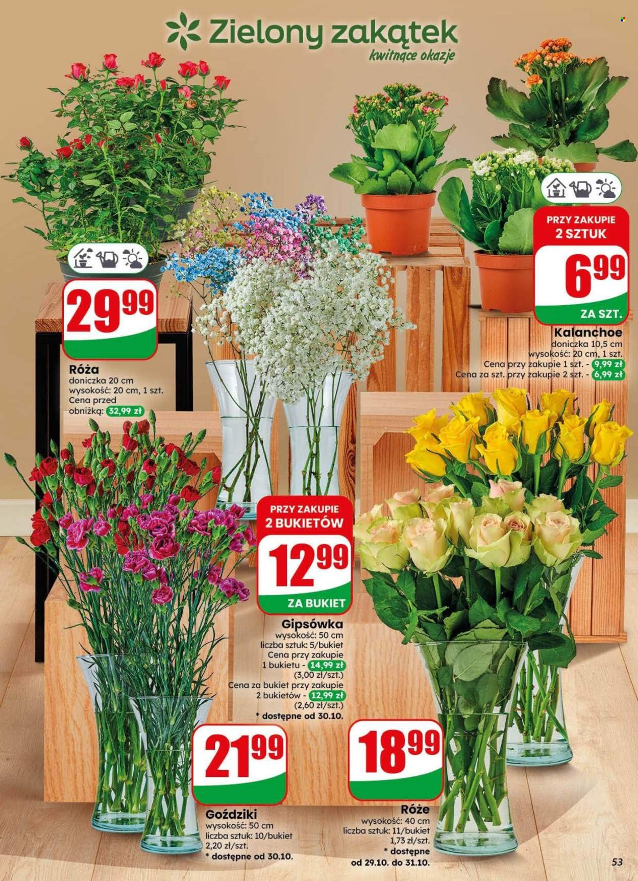 Gazetka DINO - Od środy 28.10.2026
