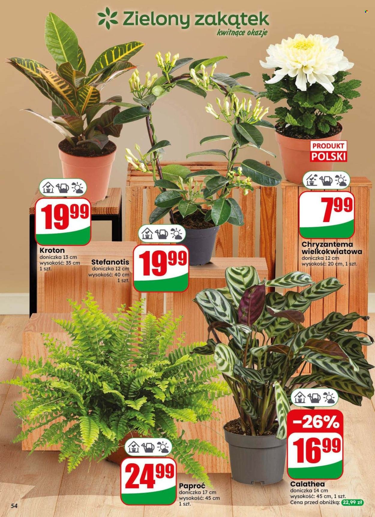 Gazetka DINO - Od środy 28.10.2026