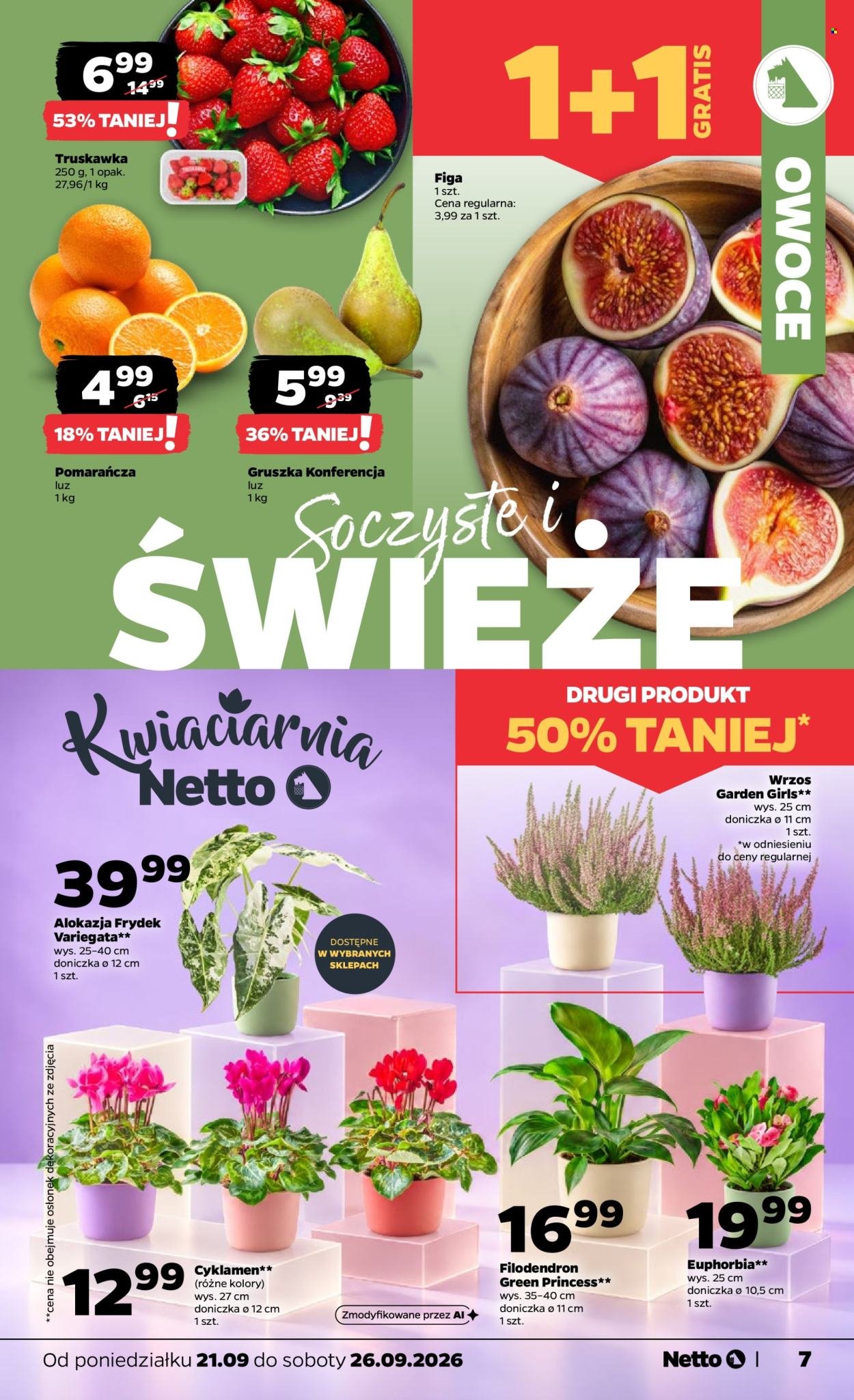 Gazetka NETTO - Od poniedziałku