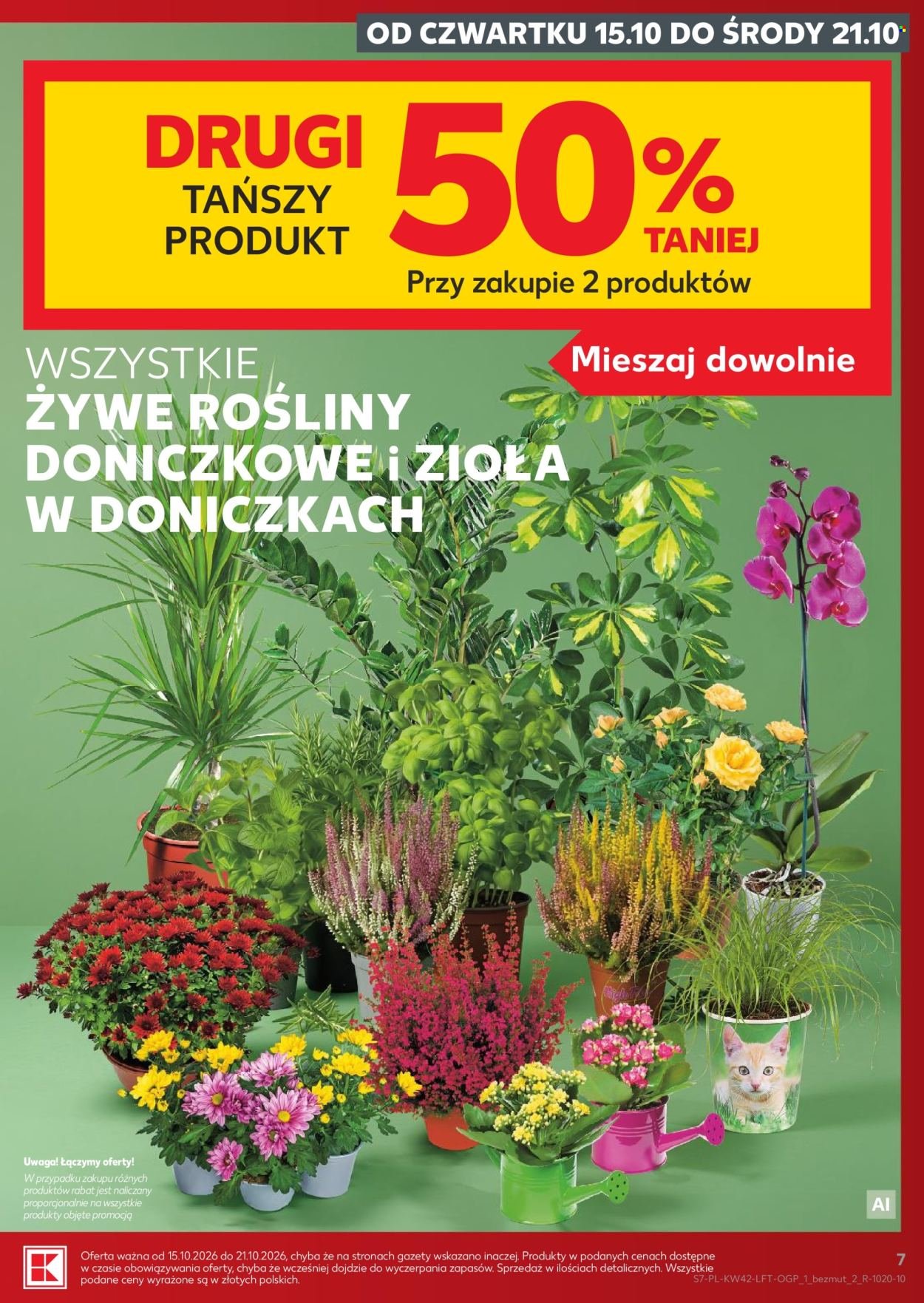 Gazetka KAUFLAND - Gazetka tygodnia