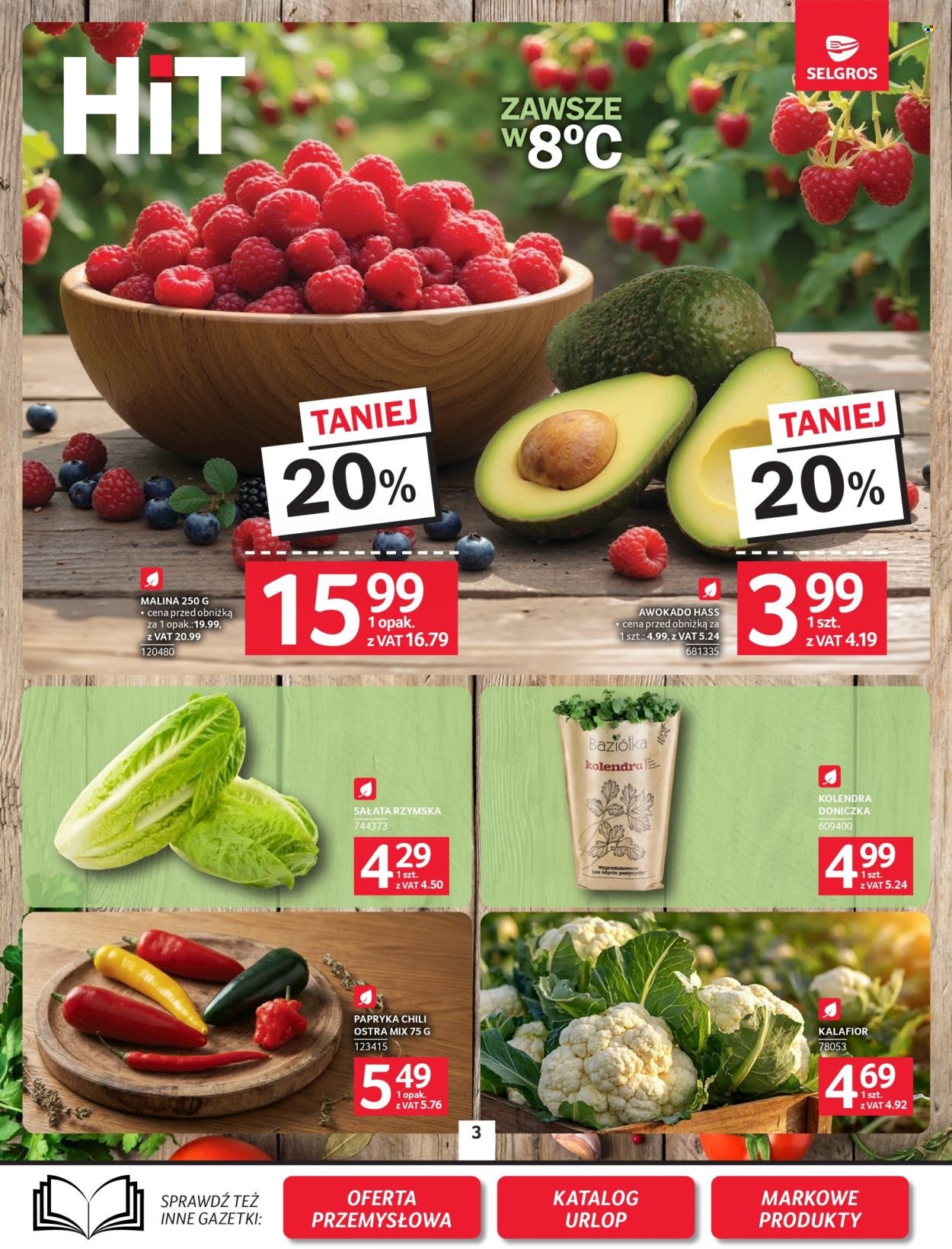 Gazetka SELGROS - Oferta spożywcza