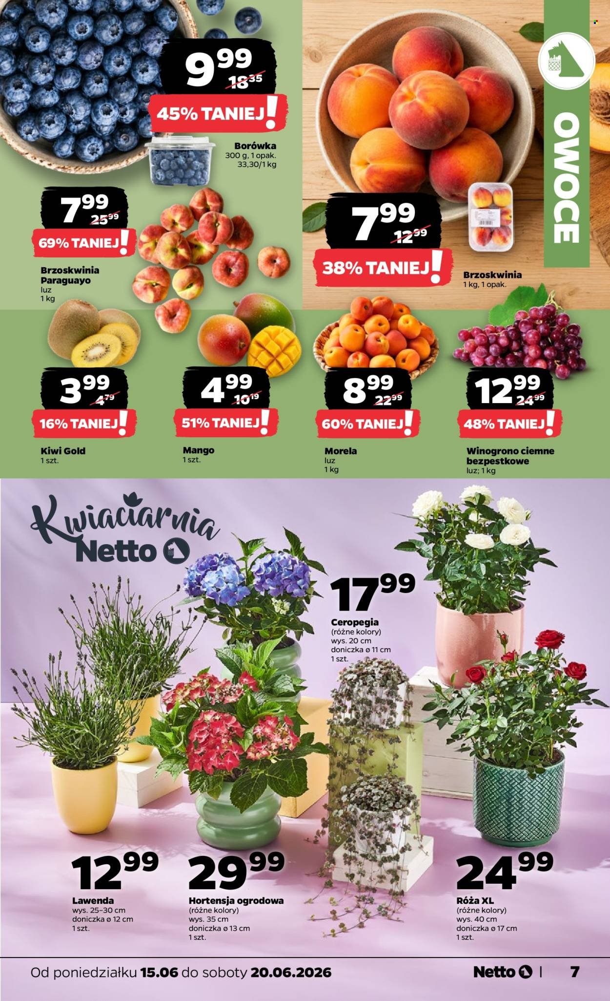 Gazetka NETTO - Od poniedziałku