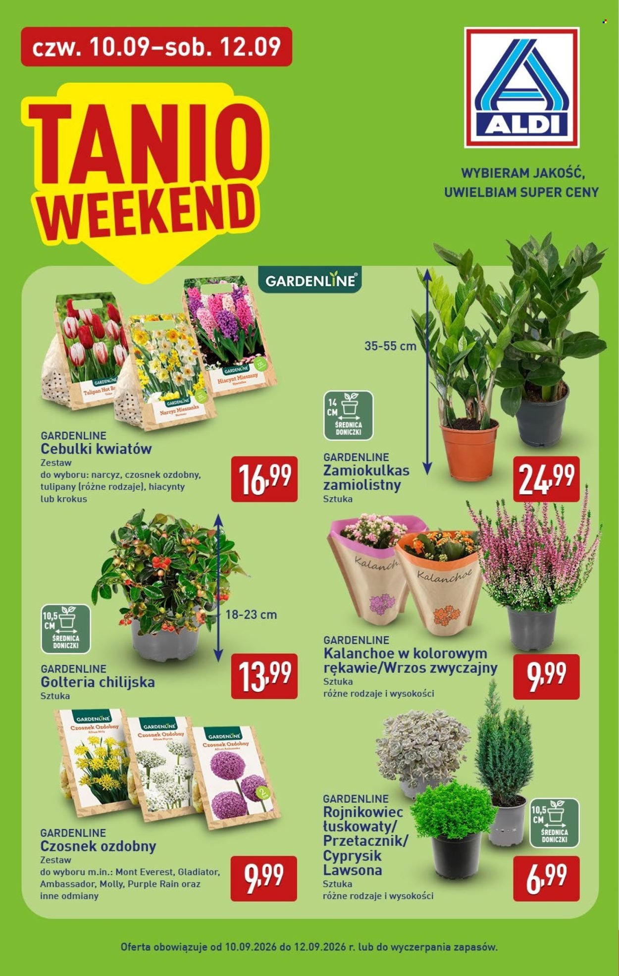 Gazetka ALDI - Pełna oferta