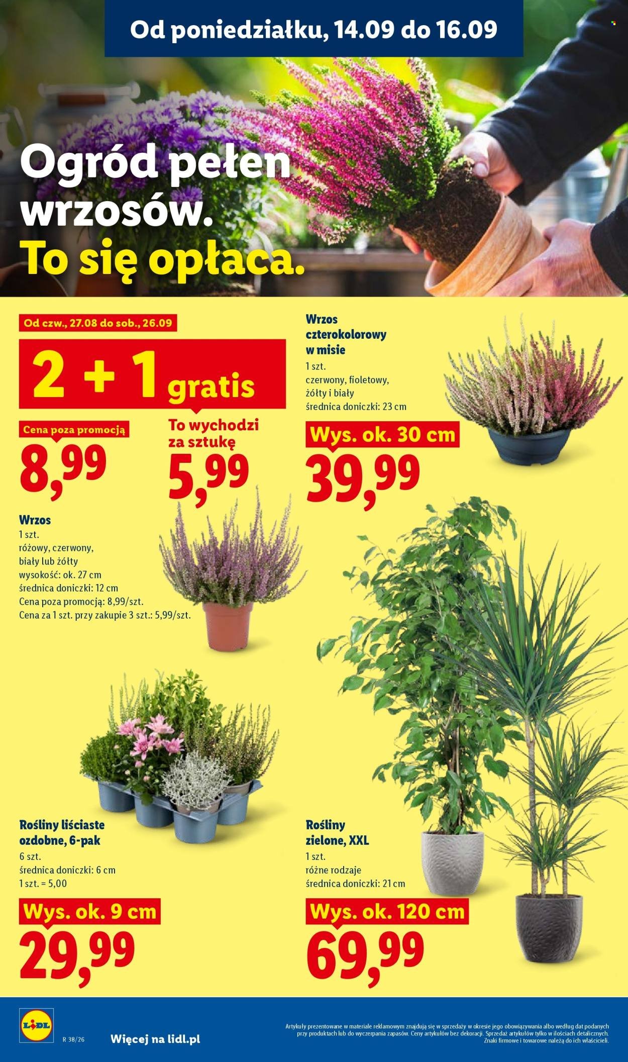 Gazetka LIDL - Od poniedziałku