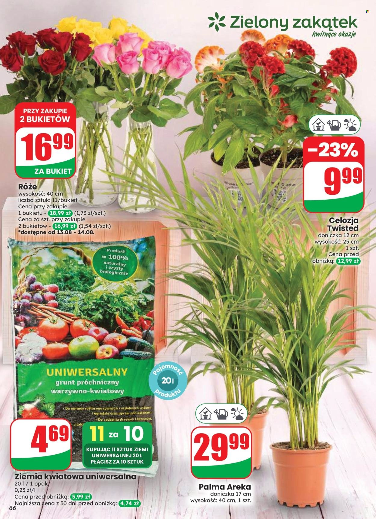 Gazetka DINO - Od środy 12.08.2026