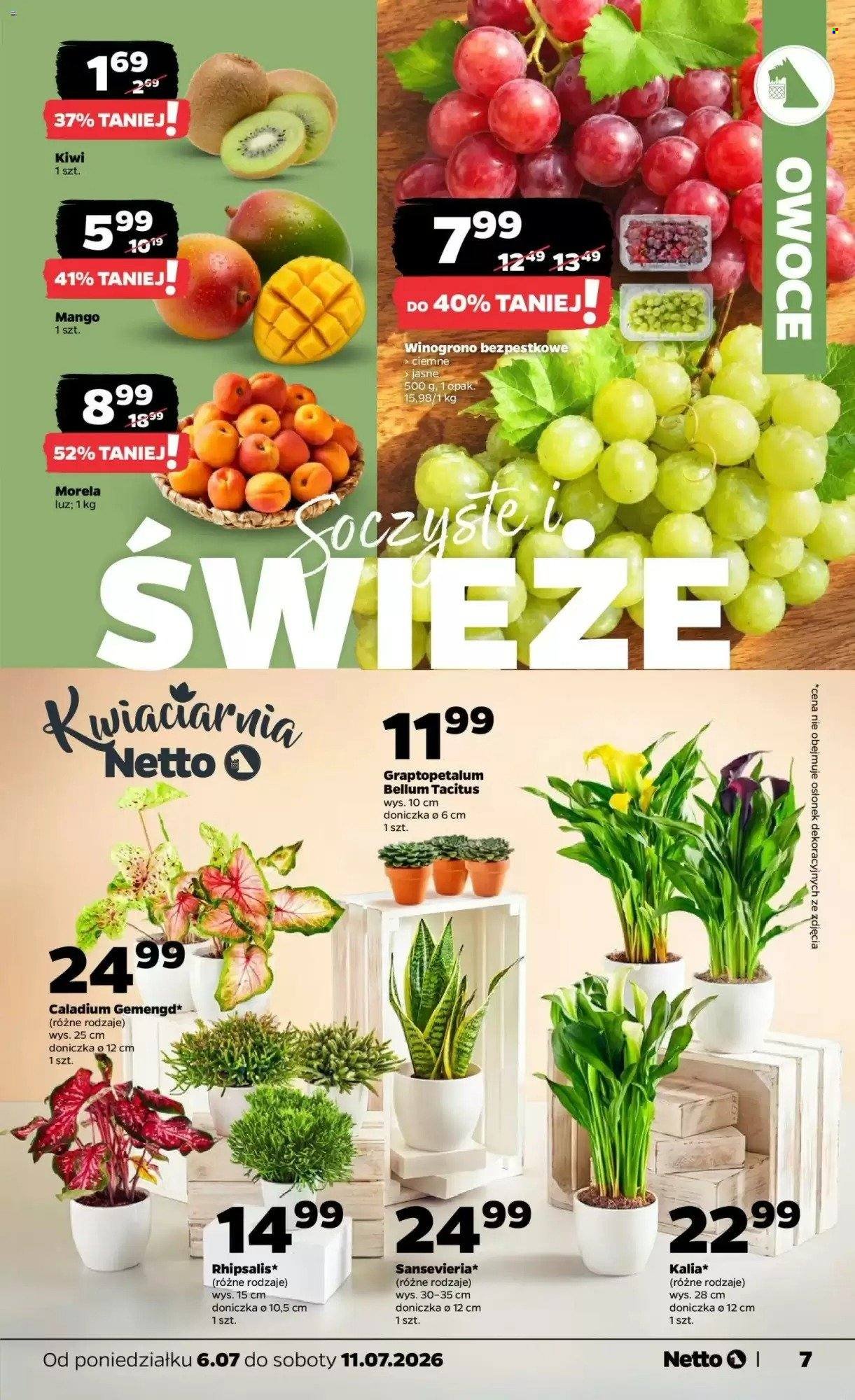 Gazetka NETTO - Od poniedziałku