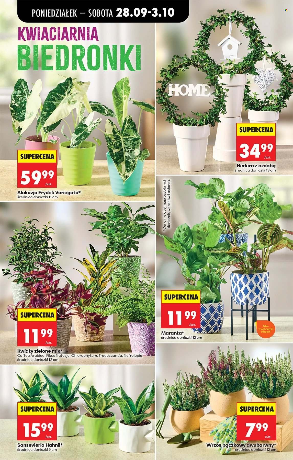 Gazetka BIEDRONKA - W tym tygodniu od poniedziałku