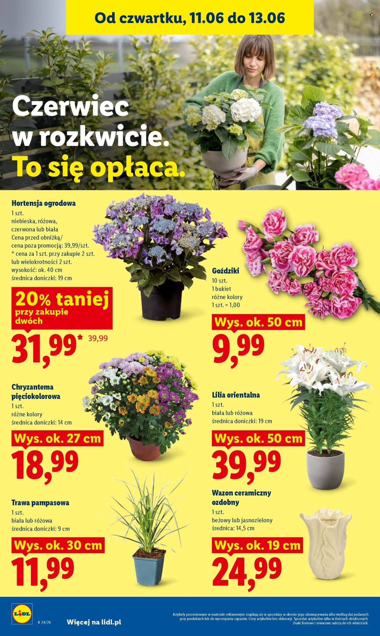Gazetka LIDL - Od czwartku