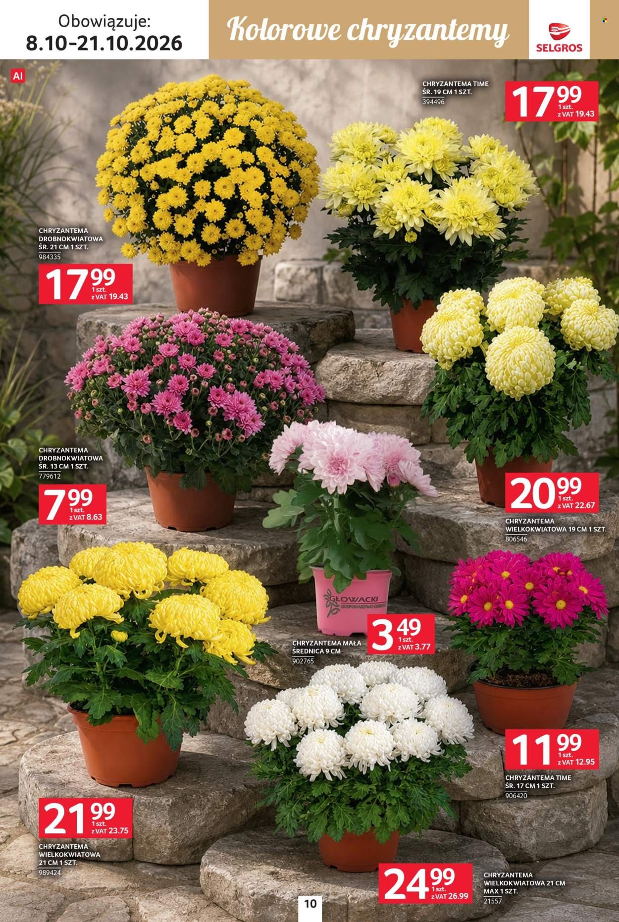 Gazetka SELGROS - Katalog Wszystkich świętych