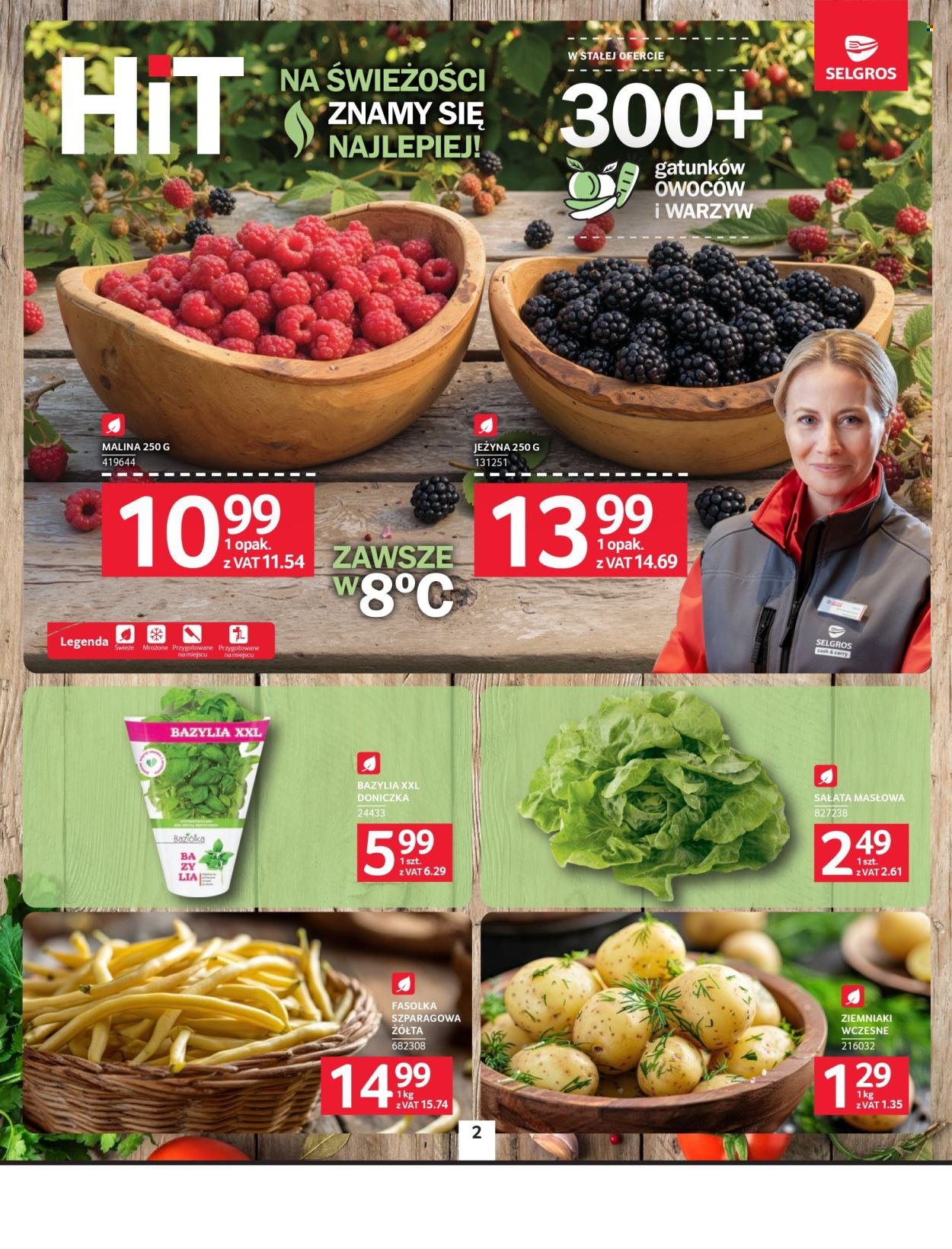 Gazetka SELGROS - Oferta spożywcza