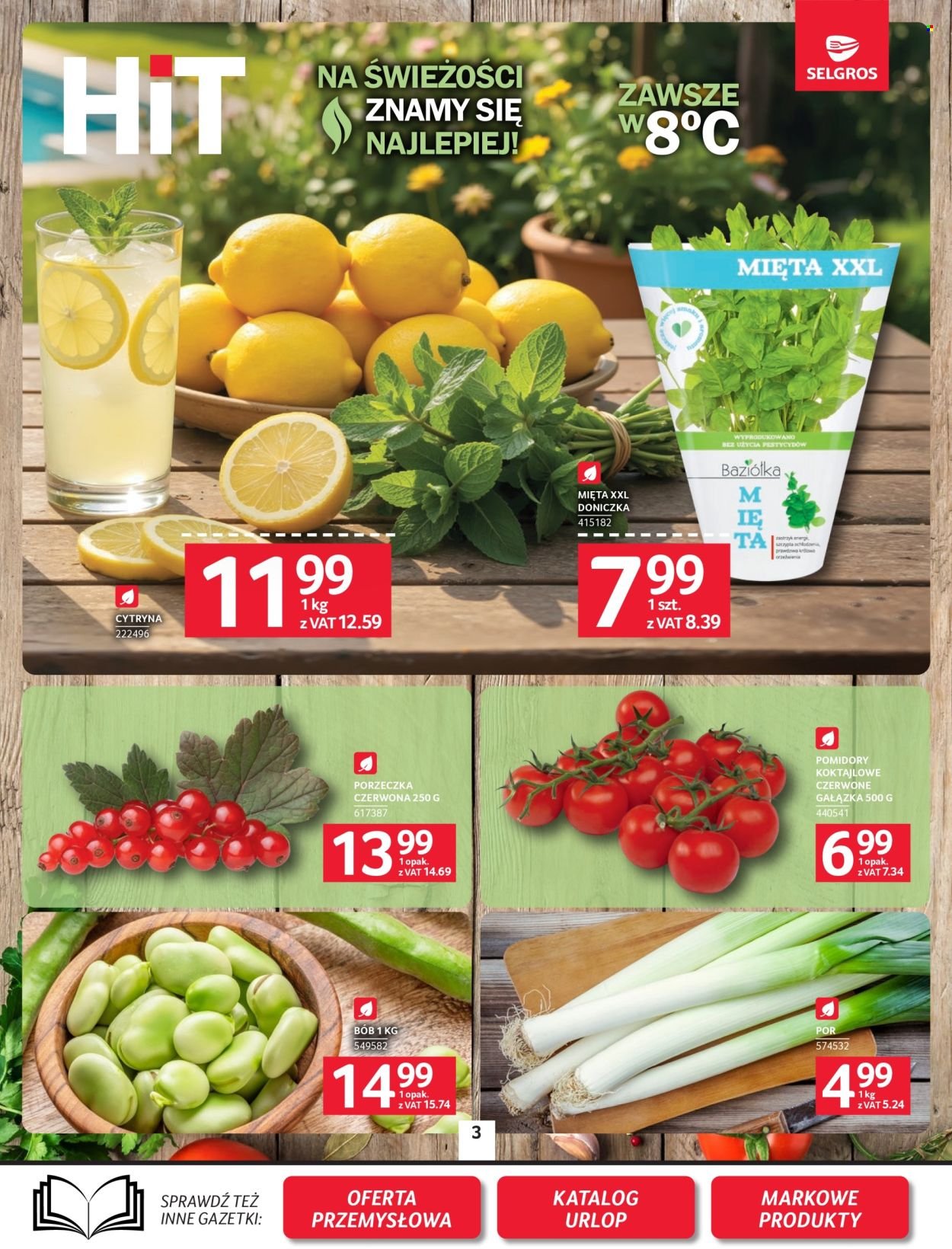 Gazetka SELGROS - Oferta spożywcza
