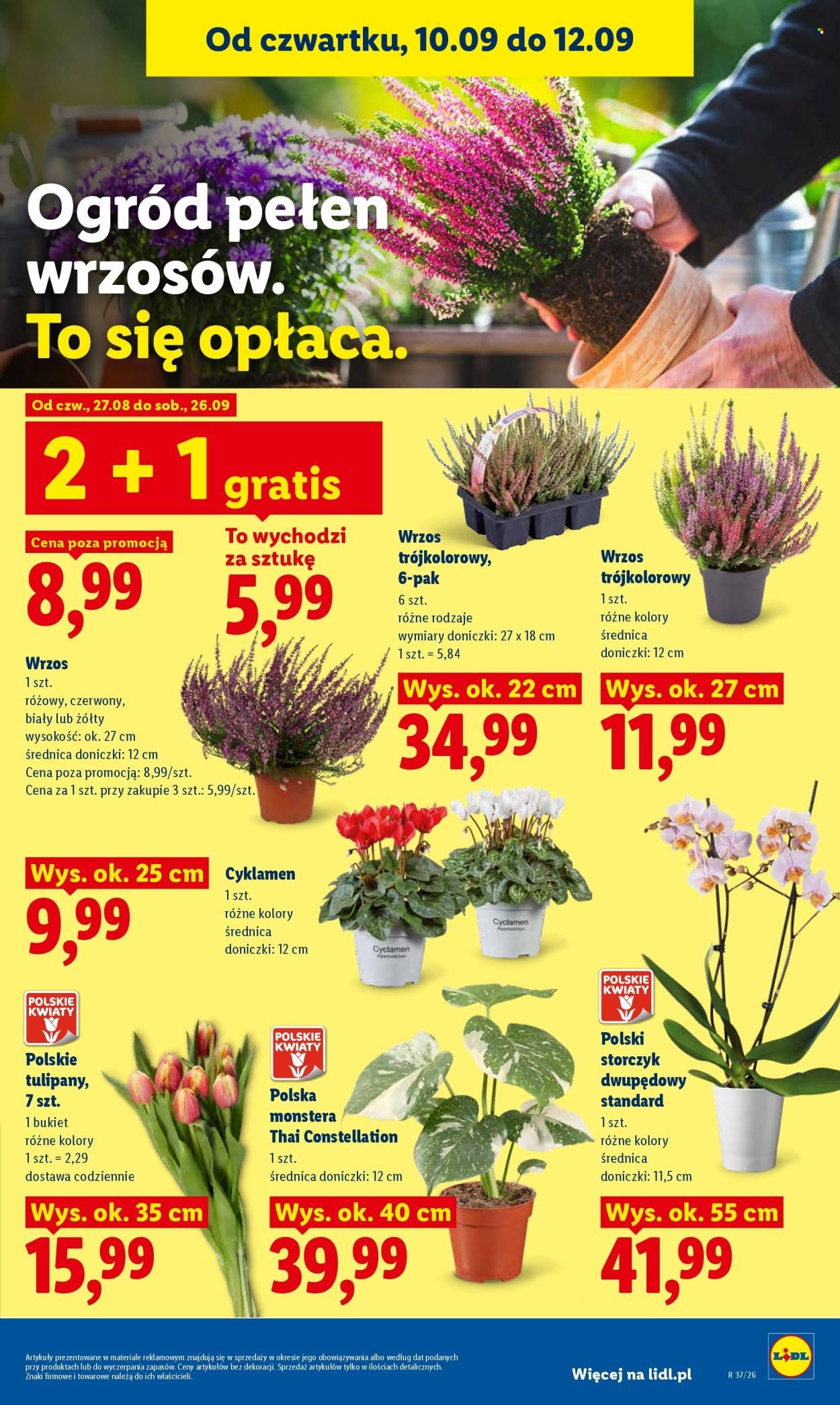 Gazetka LIDL - Od czwartku