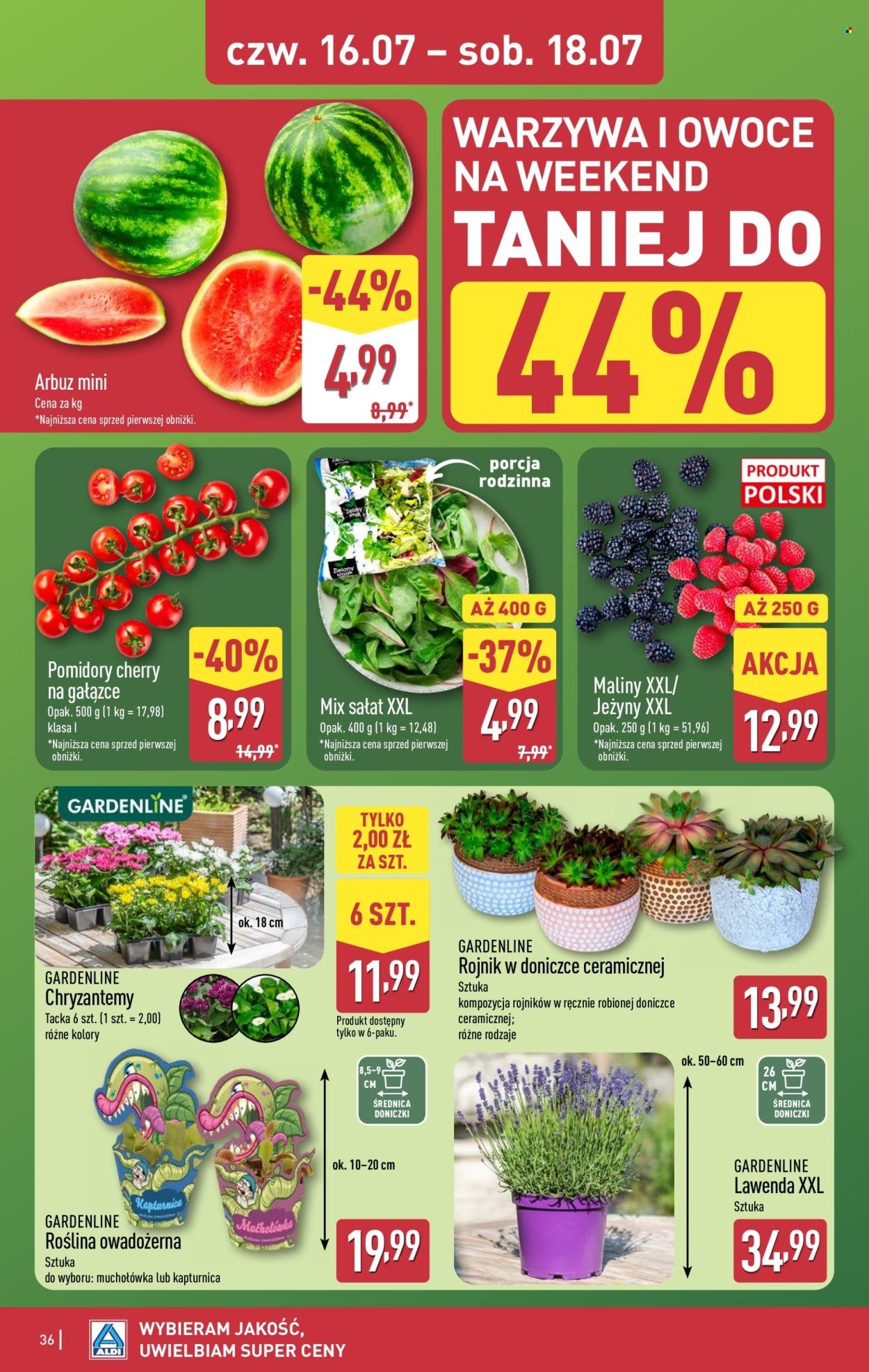 Gazetka ALDI - Pełna oferta
