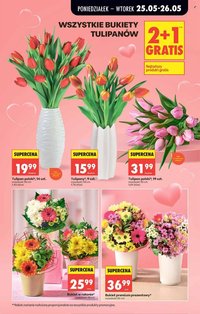 Gazetka BIEDRONKA - Dzień Matki (2026-05-25 - 2026-05-26)