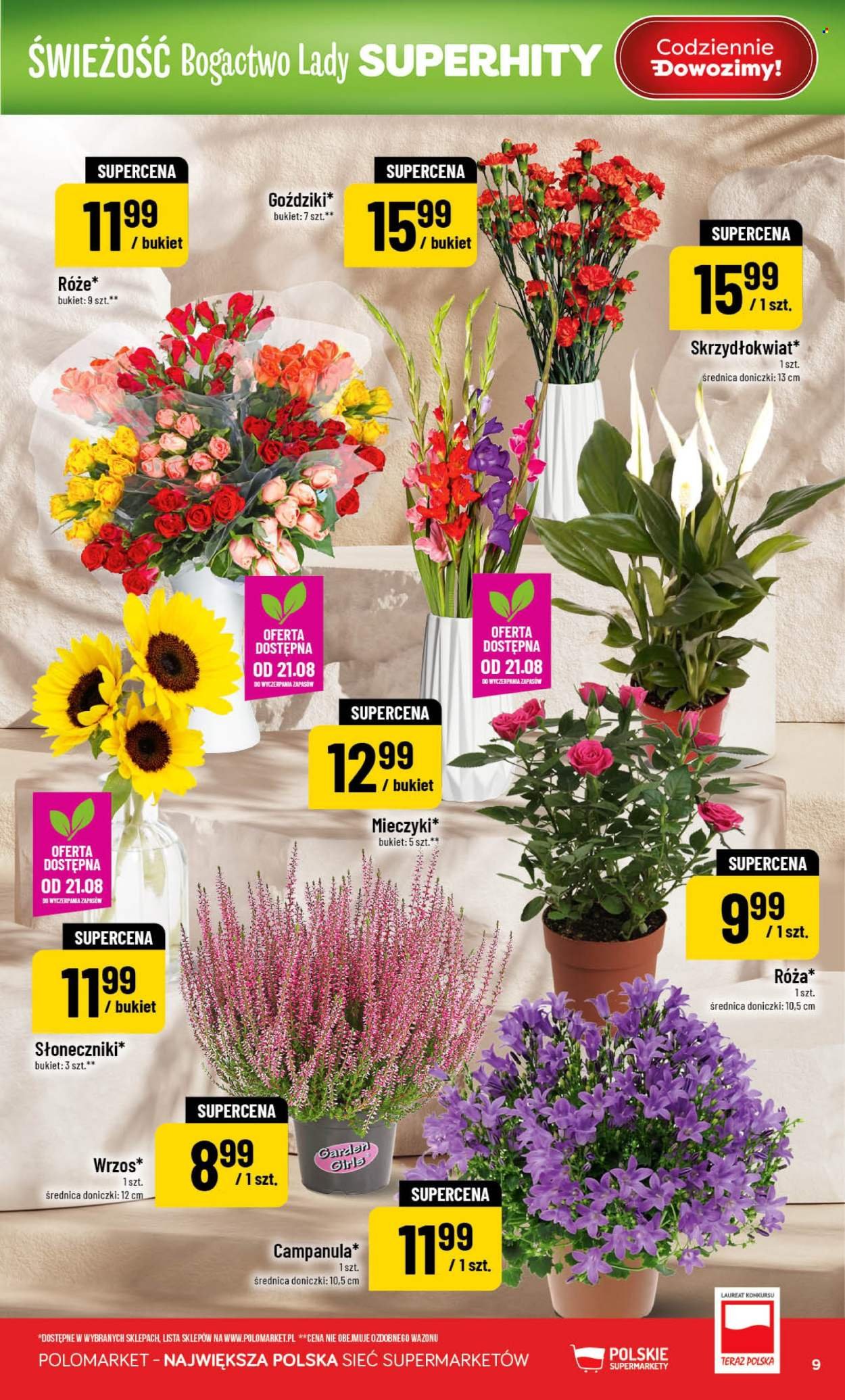 Gazetka POLOMARKET - Od środy 19.08.2026