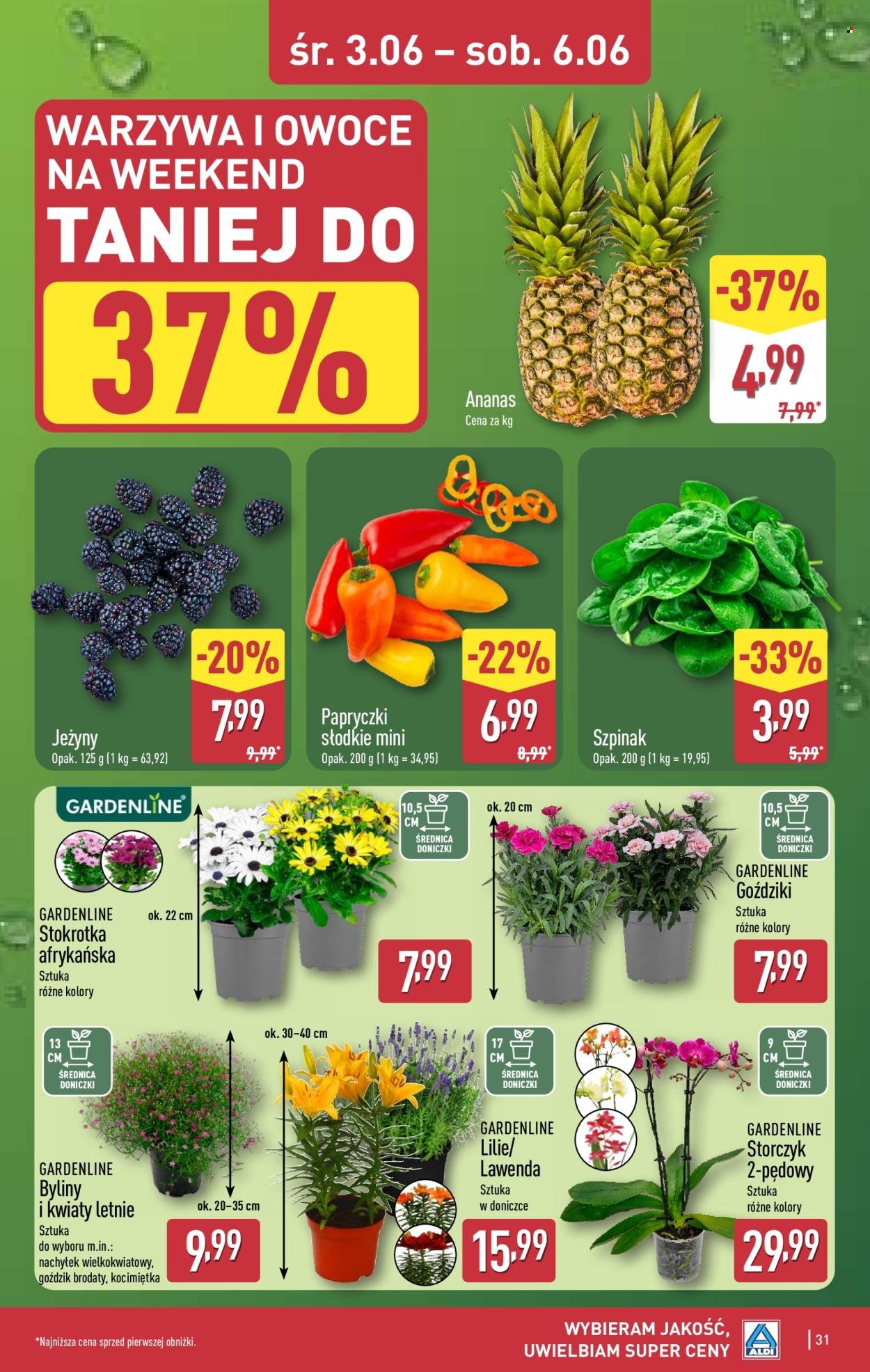 Gazetka ALDI - Pełna oferta