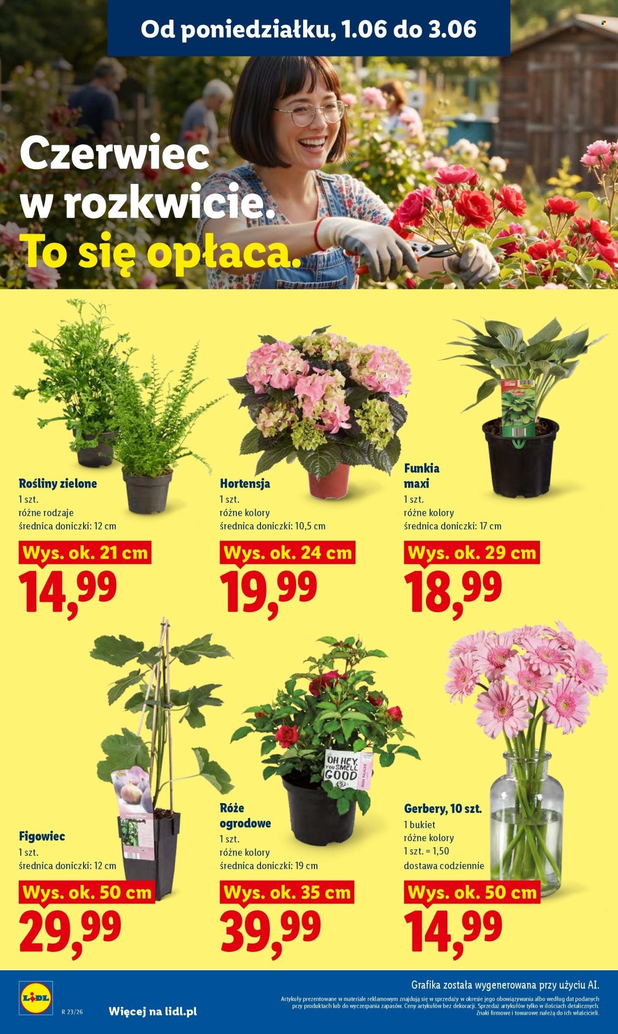 Gazetka LIDL - Od poniedziałku