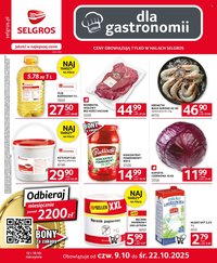 Gazetka SELGROS - Oferta dla gastronomii (2025-10-09 - 2025-10-22)
