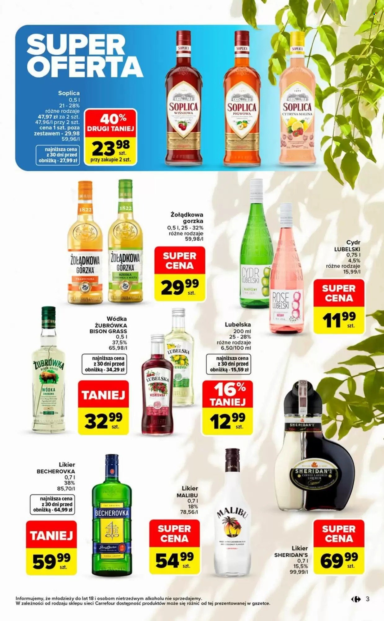 Gazetka CARREFOUR - w SUMIE jakość, smak i wybór