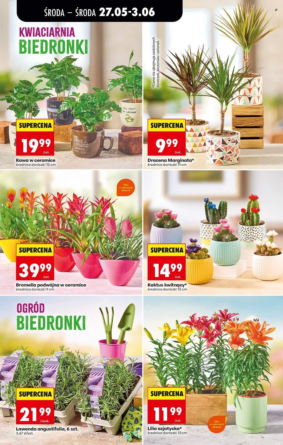 Gazetka BIEDRONKA - W tym tygodniu od środy