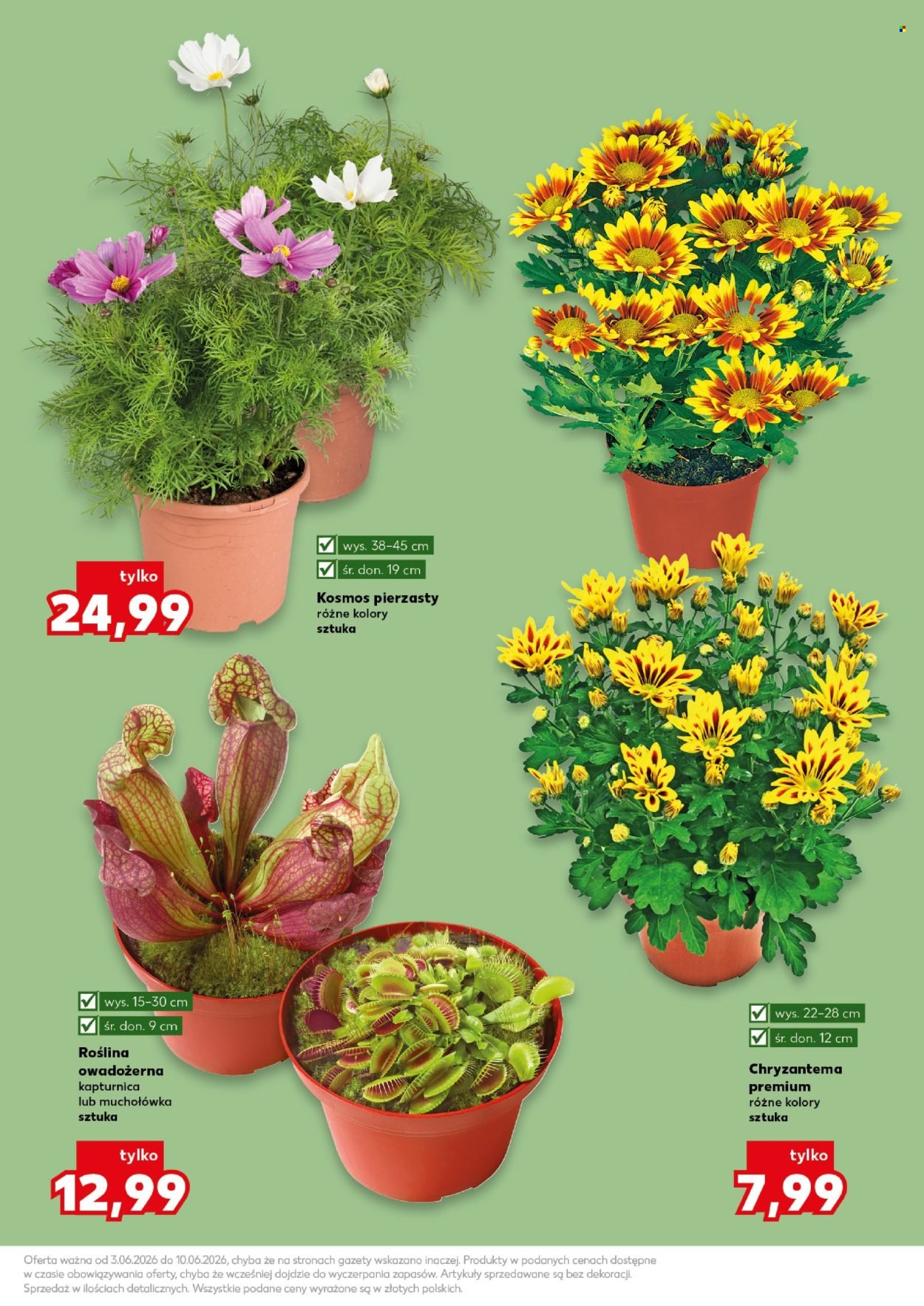 Gazetka KAUFLAND - Ogród wiosenne inspiracje