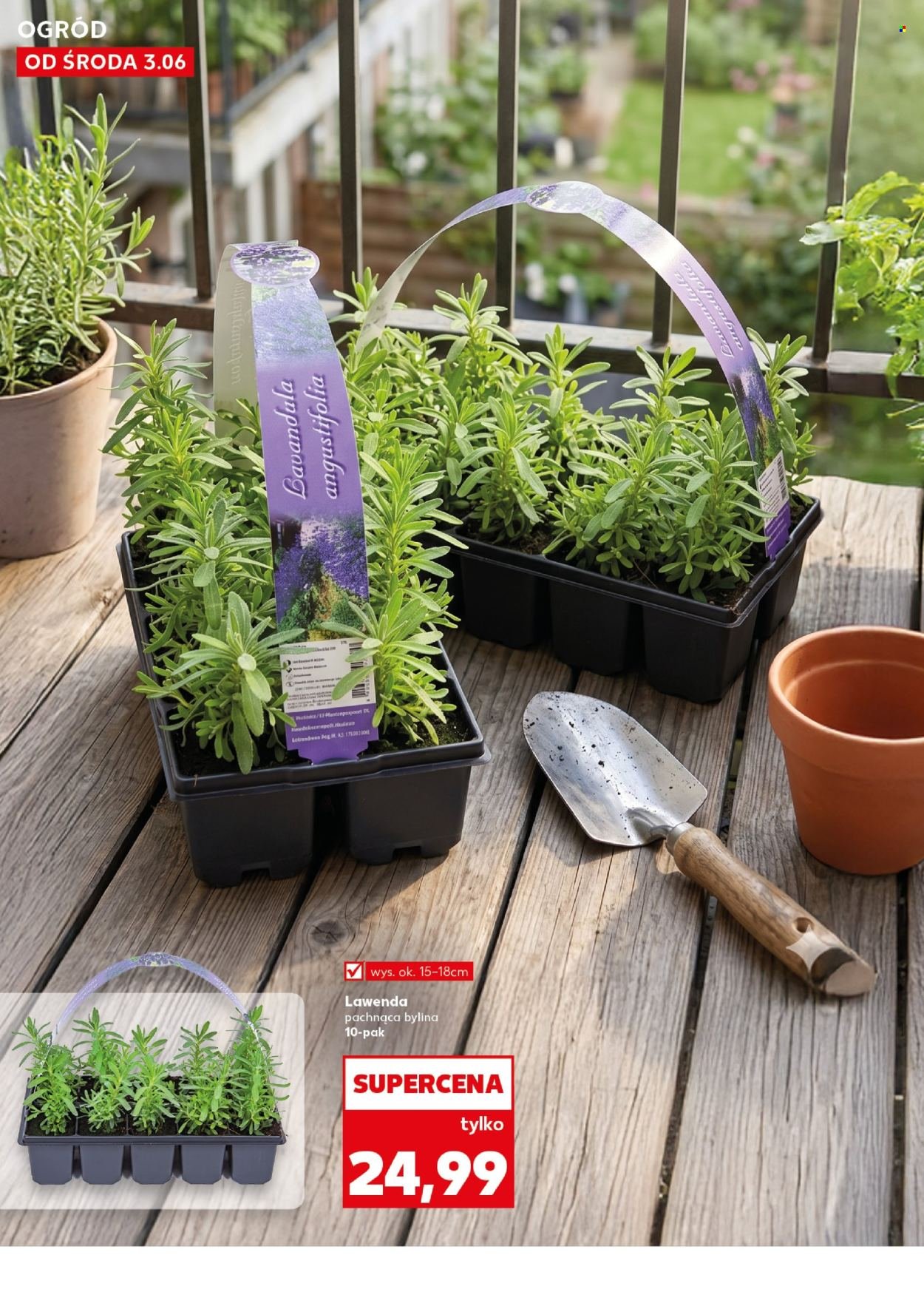 Gazetka KAUFLAND - Ogród wiosenne inspiracje