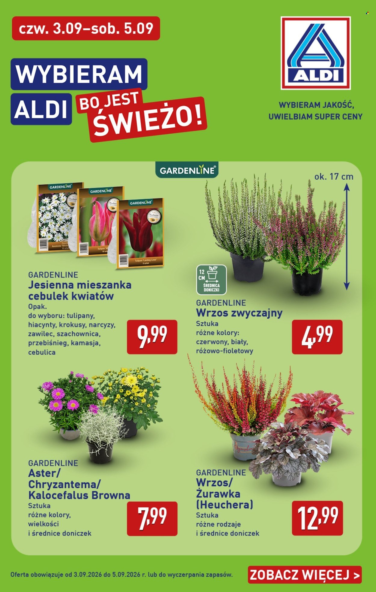 Gazetka ALDI - Pełna oferta