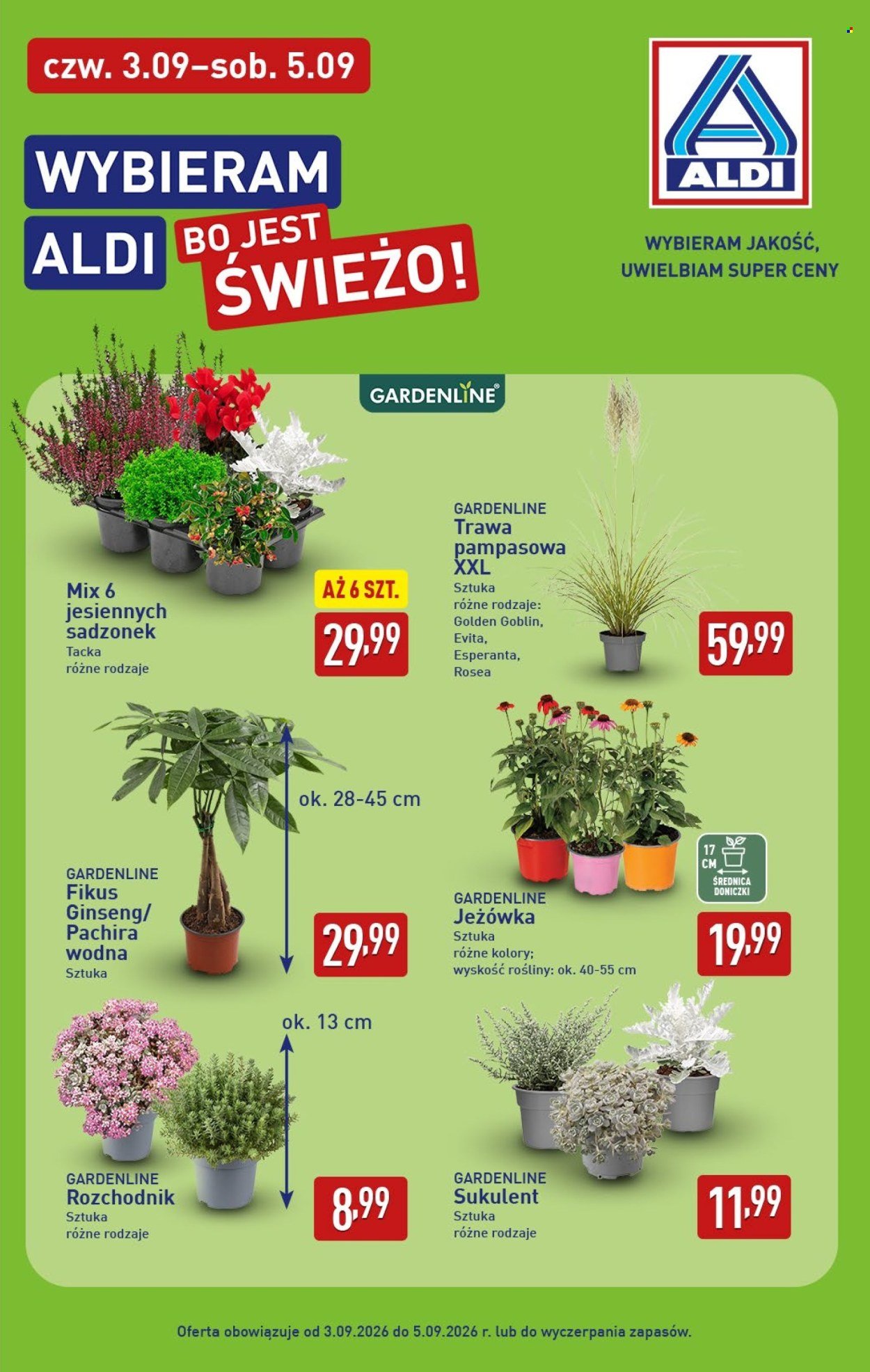 Gazetka ALDI - Pełna oferta
